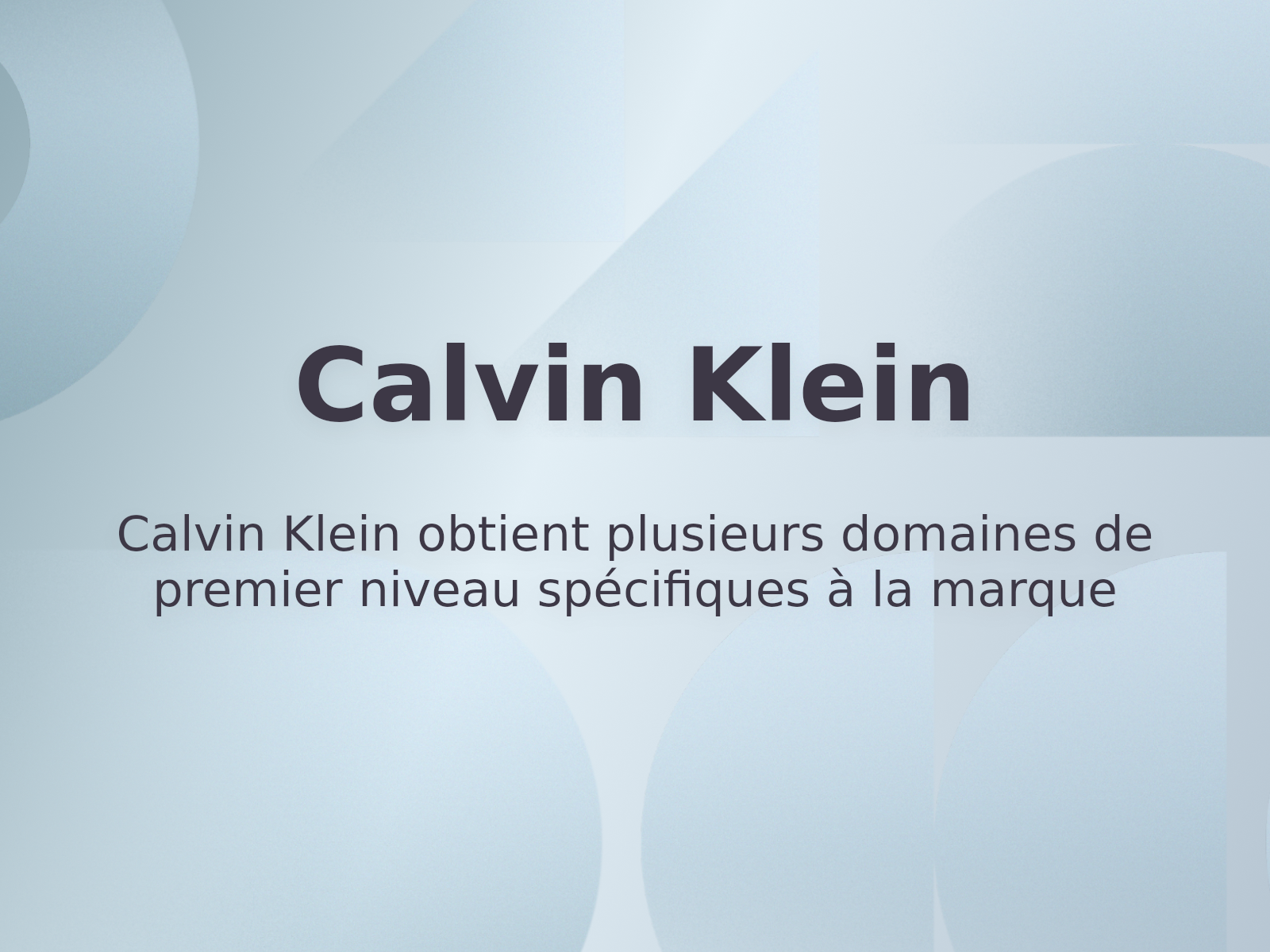 Calvin Klein obtient plusieurs domaines de premier niveau spécifiques à la marque