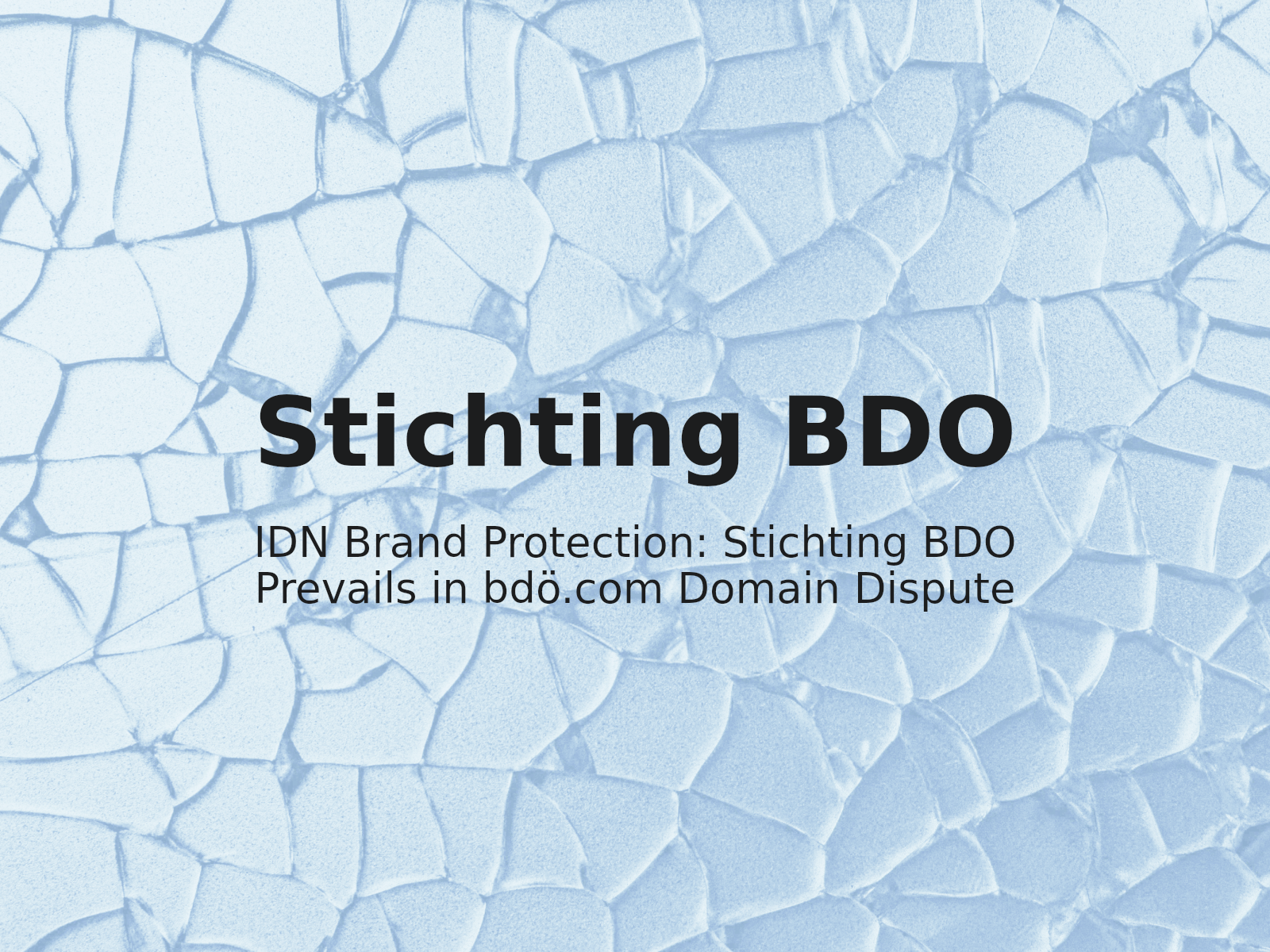 IDN Brand Protection: Stichting BDO Prevails in bdö.com Domain Dispute