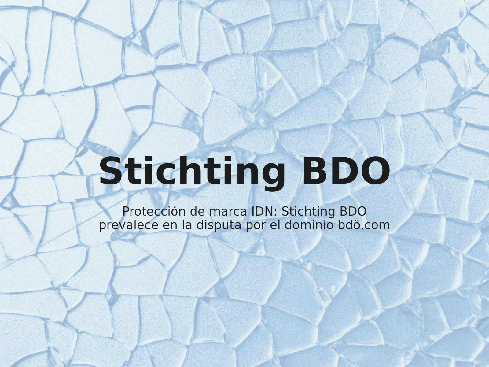 Protección de marca IDN: Stichting BDO prevalece en la disputa por el dominio bdö.com