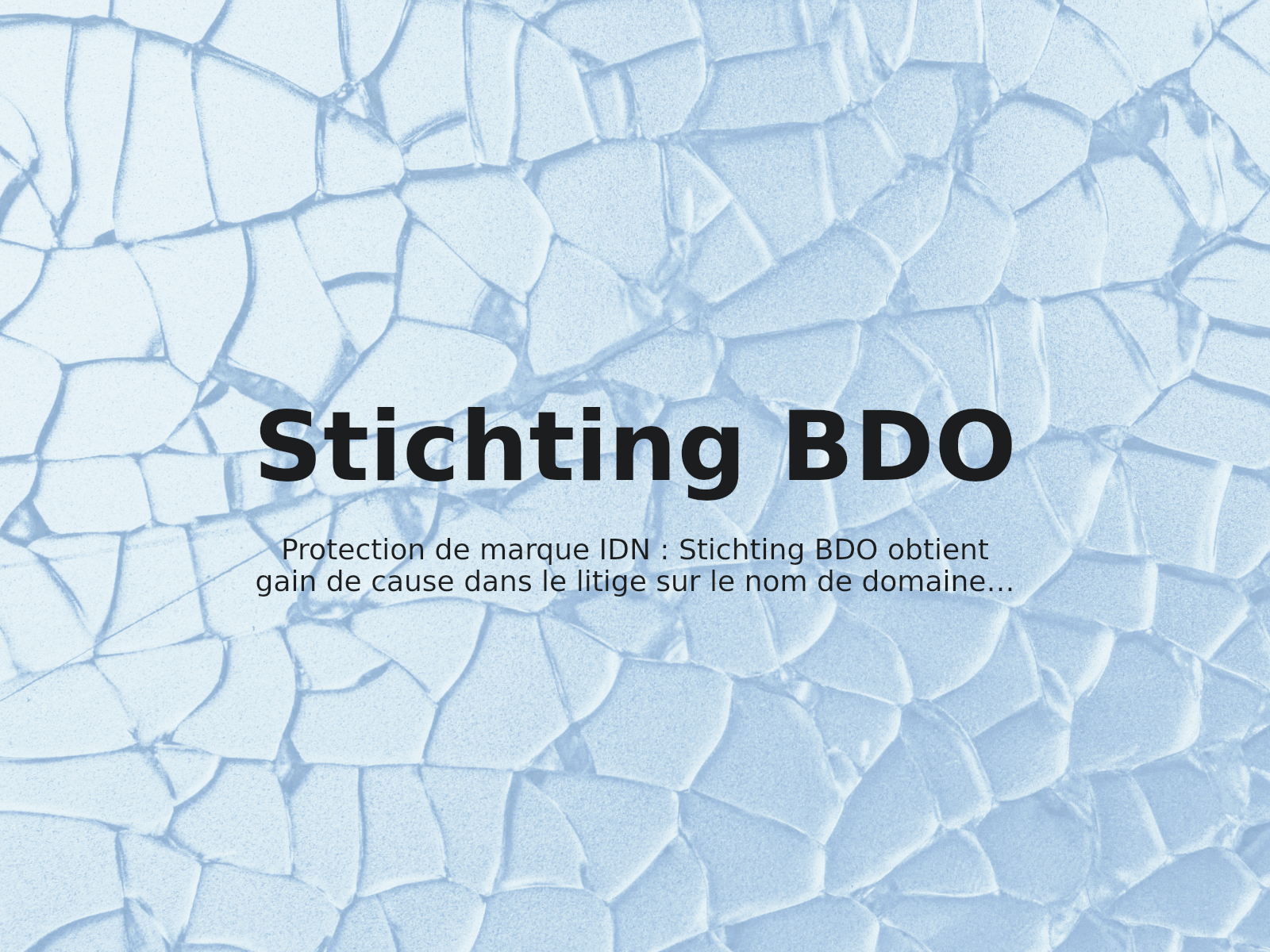 Protection de marque IDN : Stichting BDO obtient gain de cause dans le litige sur le nom de domaine bdö.com