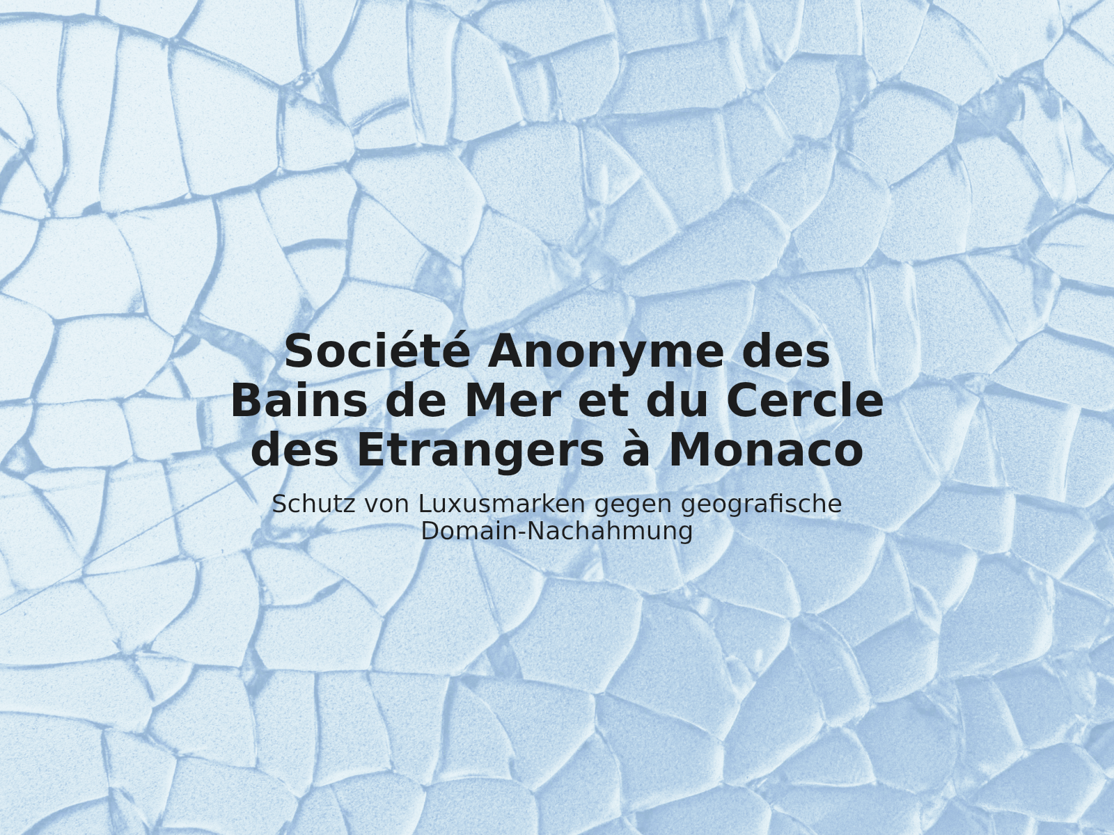 Schutz von Luxusmarken gegen geografische Domain-Nachahmung