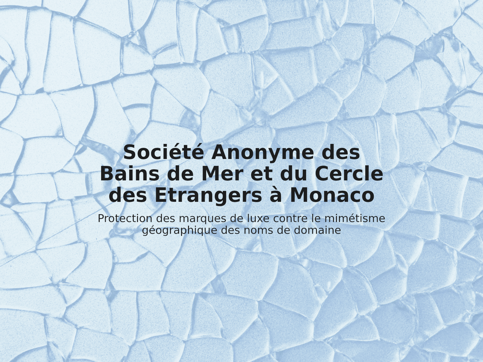 Protection des marques de luxe contre le mimétisme géographique des noms de domaine