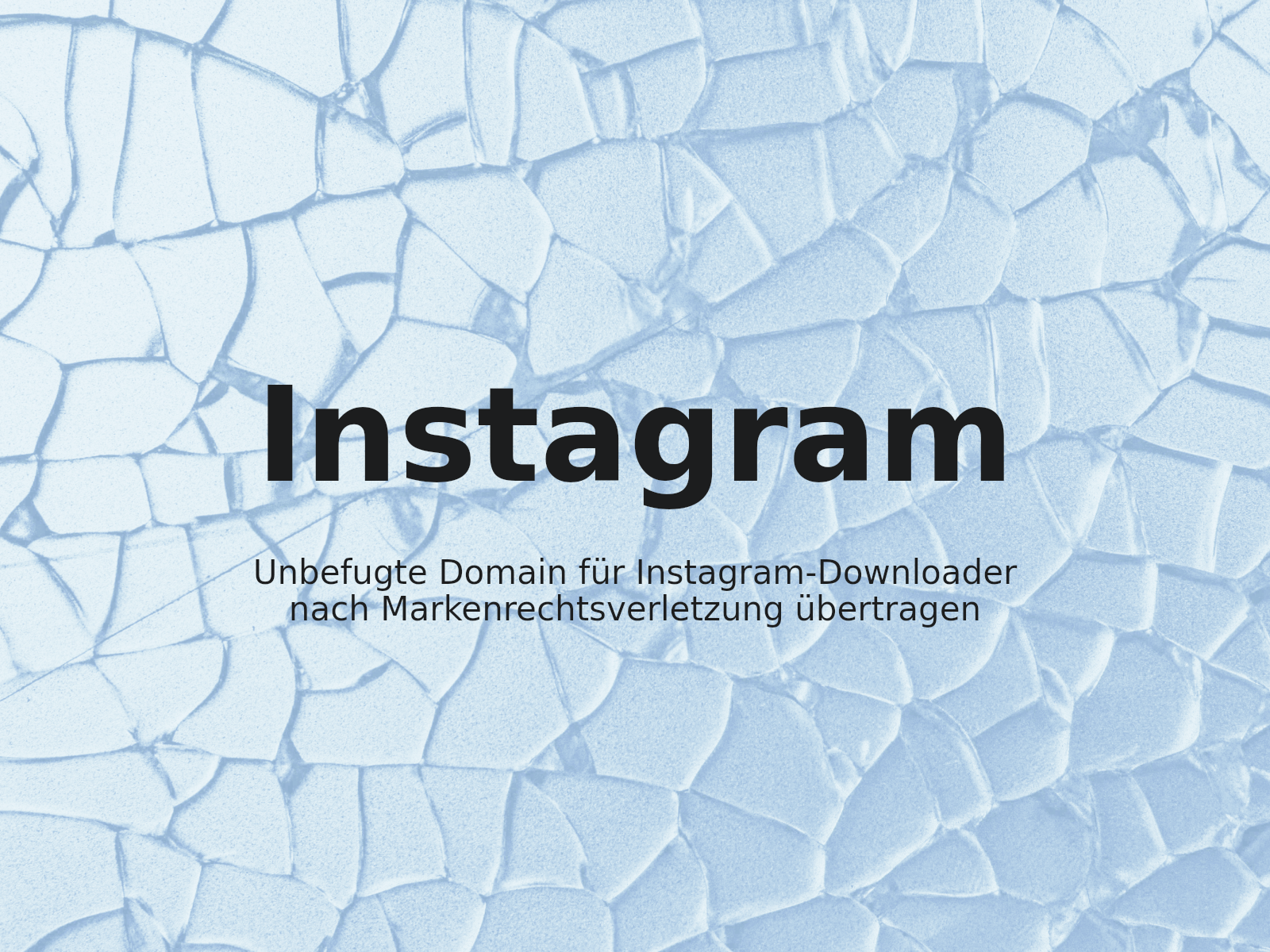 Unbefugte Domain für Instagram-Downloader nach Markenrechtsverletzung übertragen