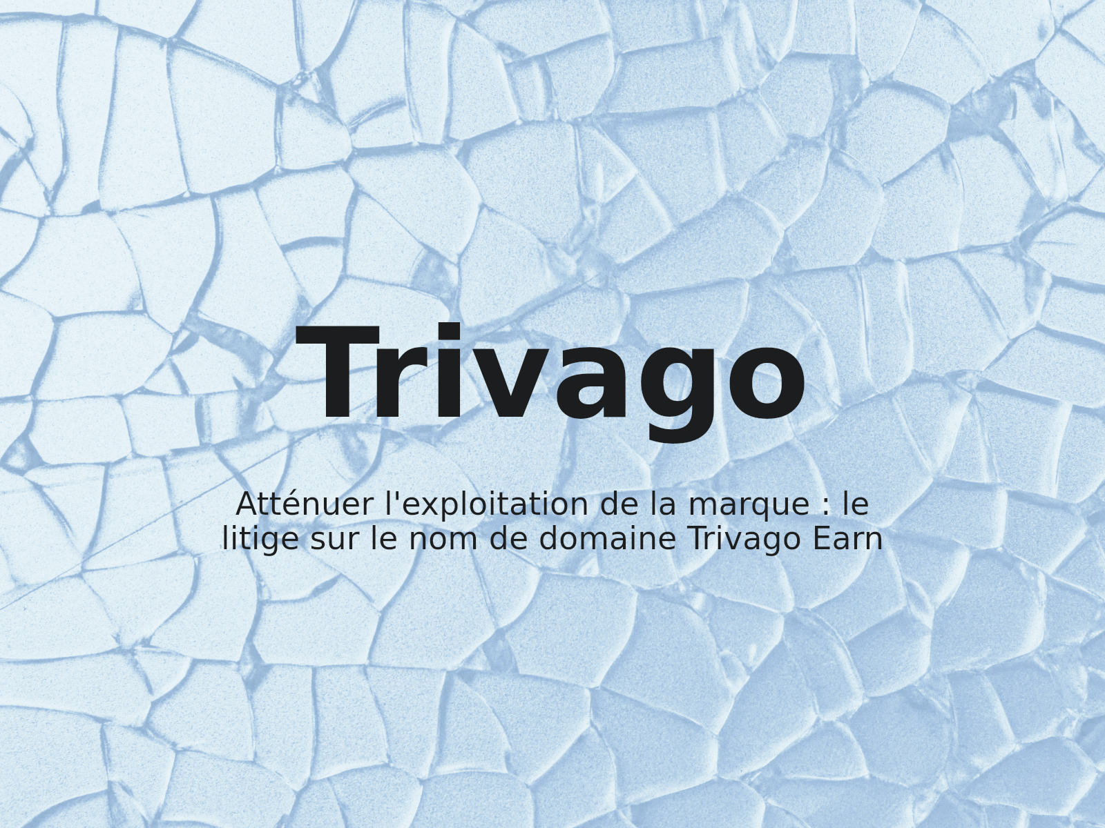 Atténuer l’exploitation de la marque : le litige sur le nom de domaine Trivago Earn