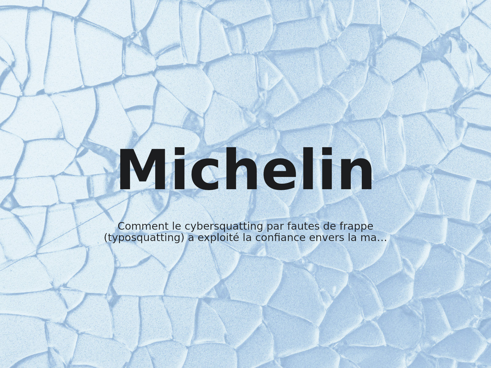 Comment le cybersquatting par fautes de frappe (typosquatting) a exploité la confiance envers la marque Michelin sur promo-michellin.com