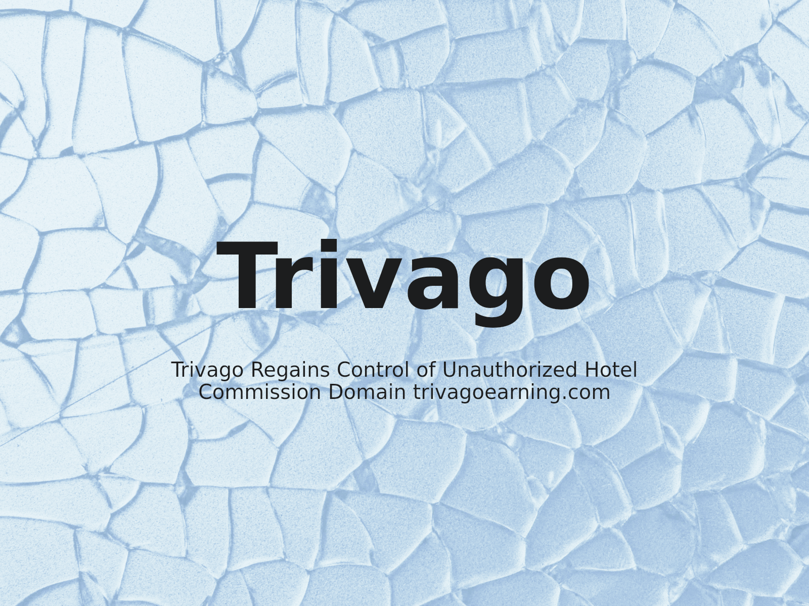 Trivago Regains Control of Unauthorized Hotel Commission Domain trivagoearning.com