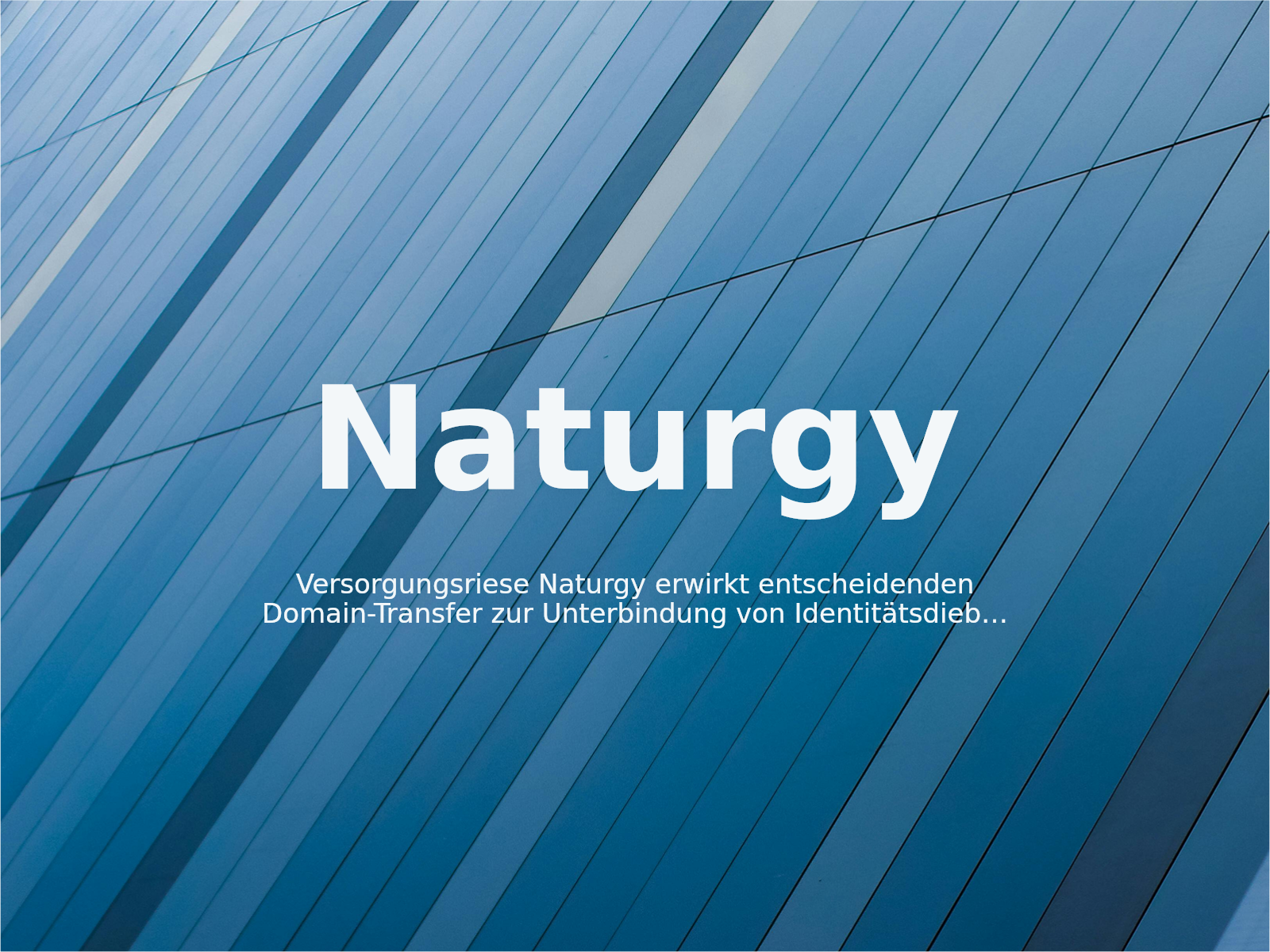 Versorgungsriese Naturgy erwirkt entscheidenden Domain-Transfer zur Unterbindung von Identitätsdiebstahl