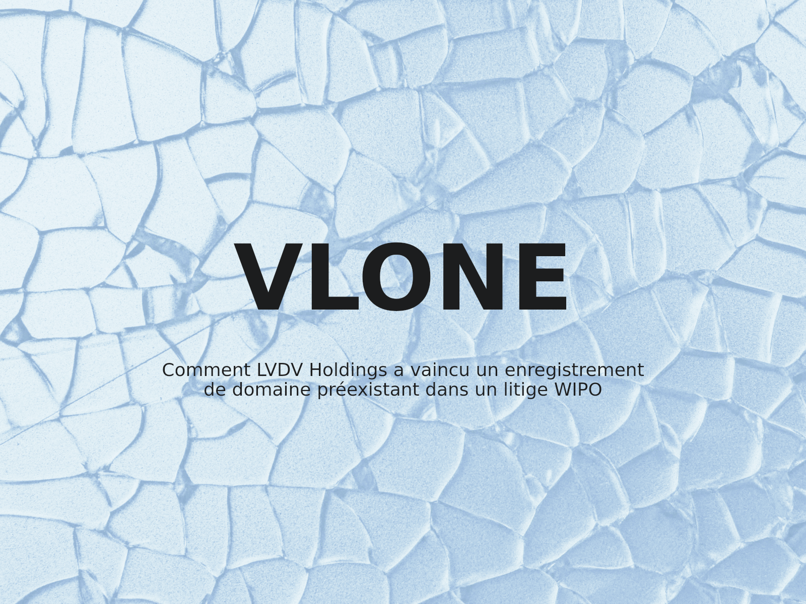 Comment LVDV Holdings a vaincu un enregistrement de domaine préexistant dans un litige WIPO