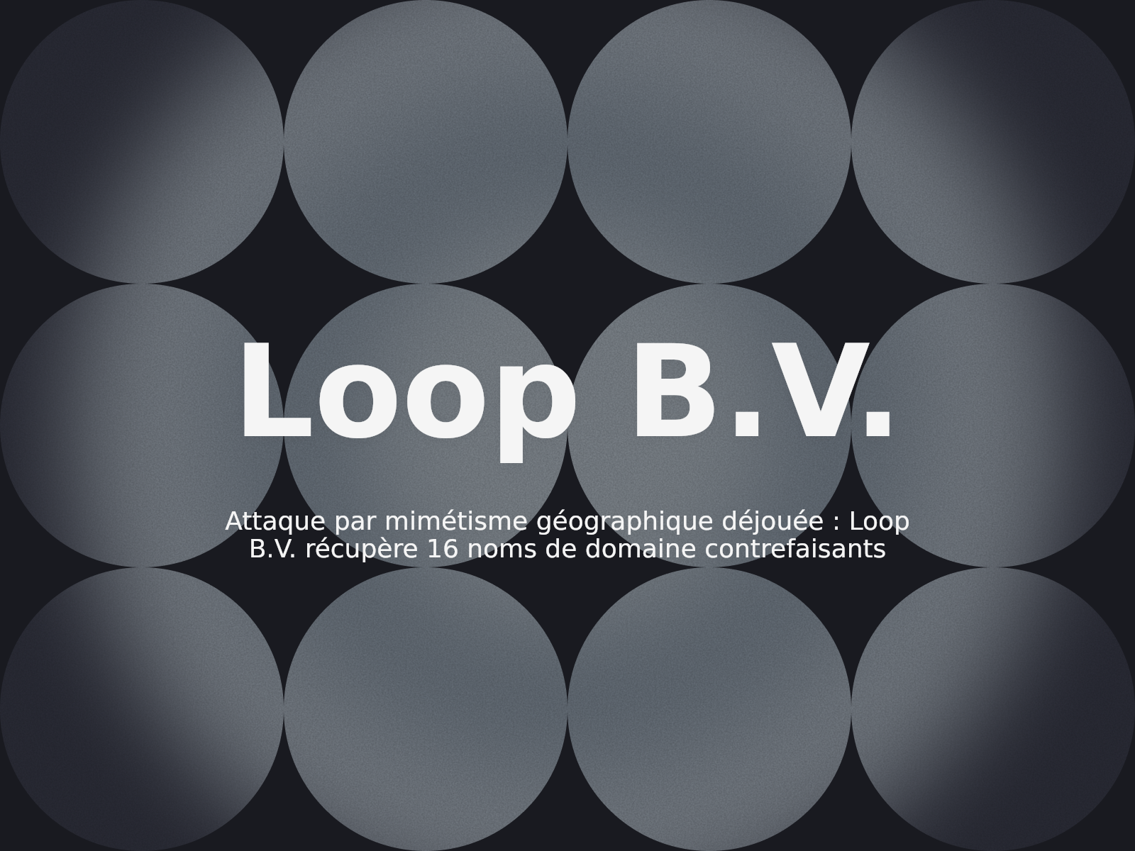 Attaque par mimétisme géographique déjouée : Loop B.V. récupère 16 noms de domaine contrefaisants