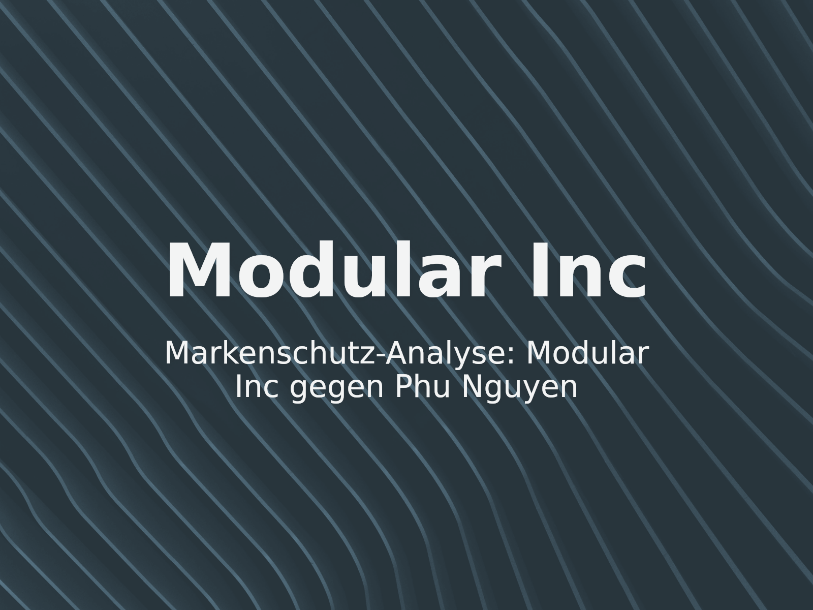 Markenschutz-Analyse: Modular Inc gegen Phu Nguyen