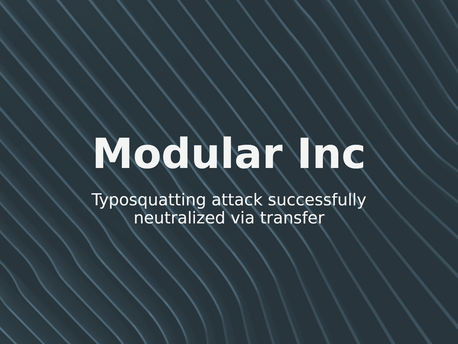 Markenschutz-Analyse: Modular Inc gegen Phu Nguyen