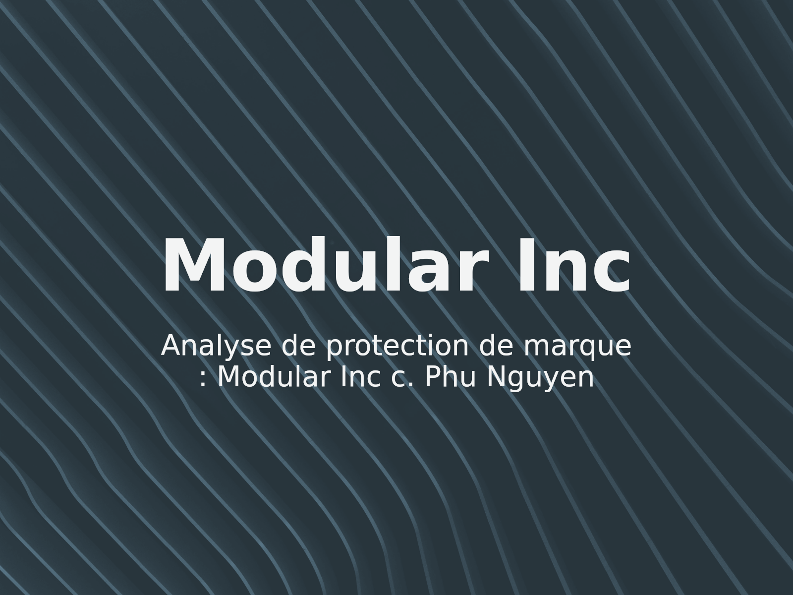 Analyse de protection de marque : Modular Inc c. Phu Nguyen