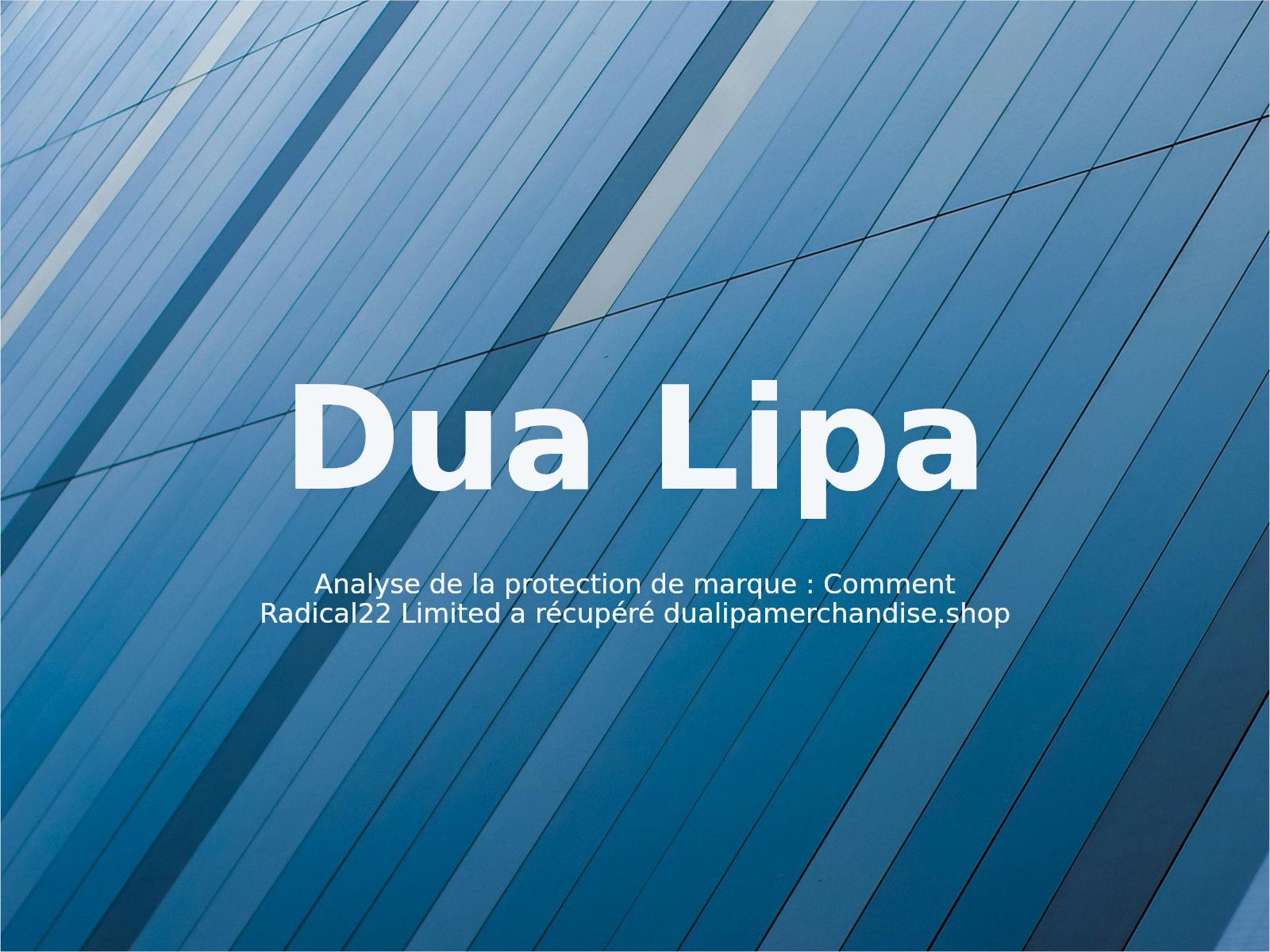 Analyse de la protection de marque : Comment Radical22 Limited a récupéré dualipamerchandise.shop