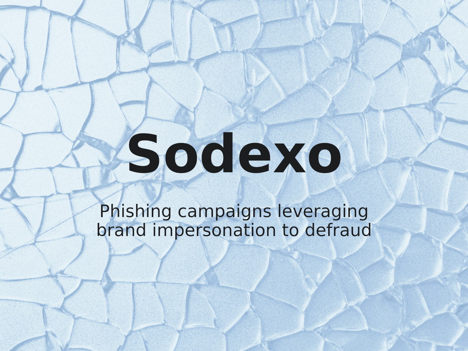 Phishing Risks and Trademark Misuse in the sodexo-distribution.com Dispute