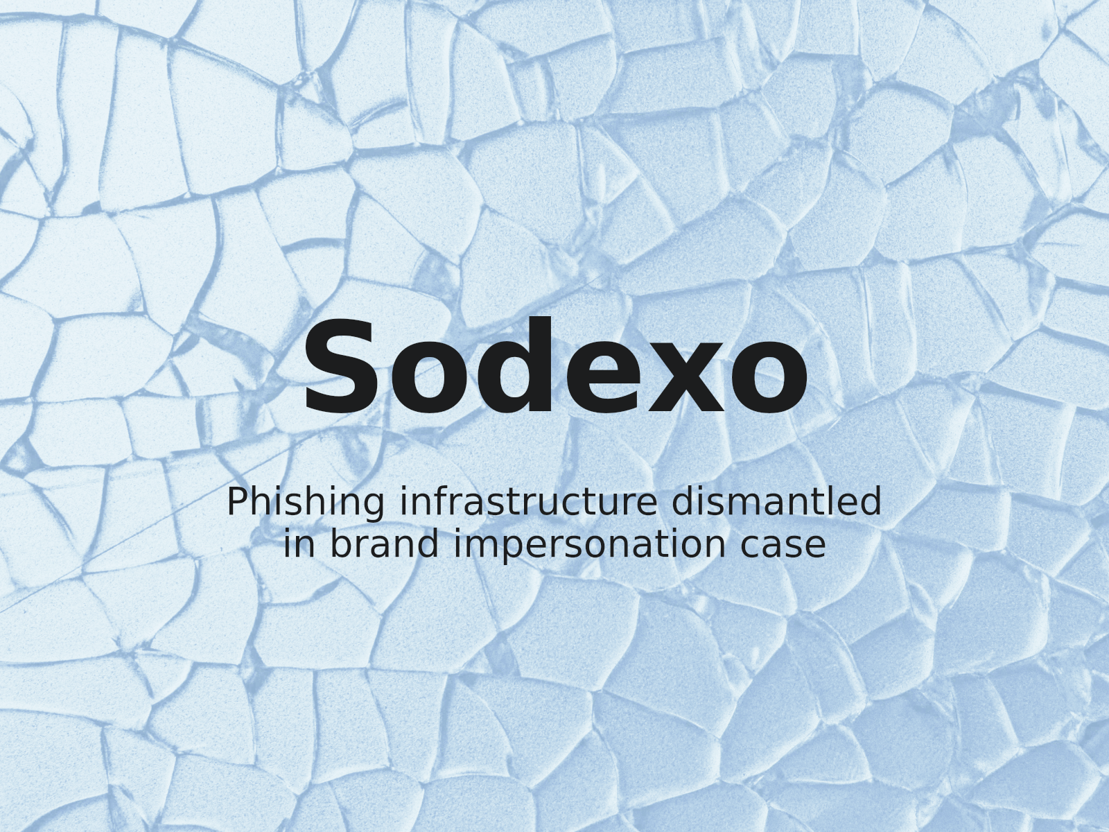 Riesgos de phishing y uso indebido de marcas en la disputa sodexo-distribution.com
