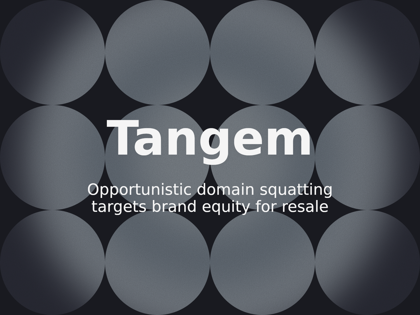 Umgang mit Domain-Lösegeld und Risiken durch passives Halten: Der Fall Tangem AG