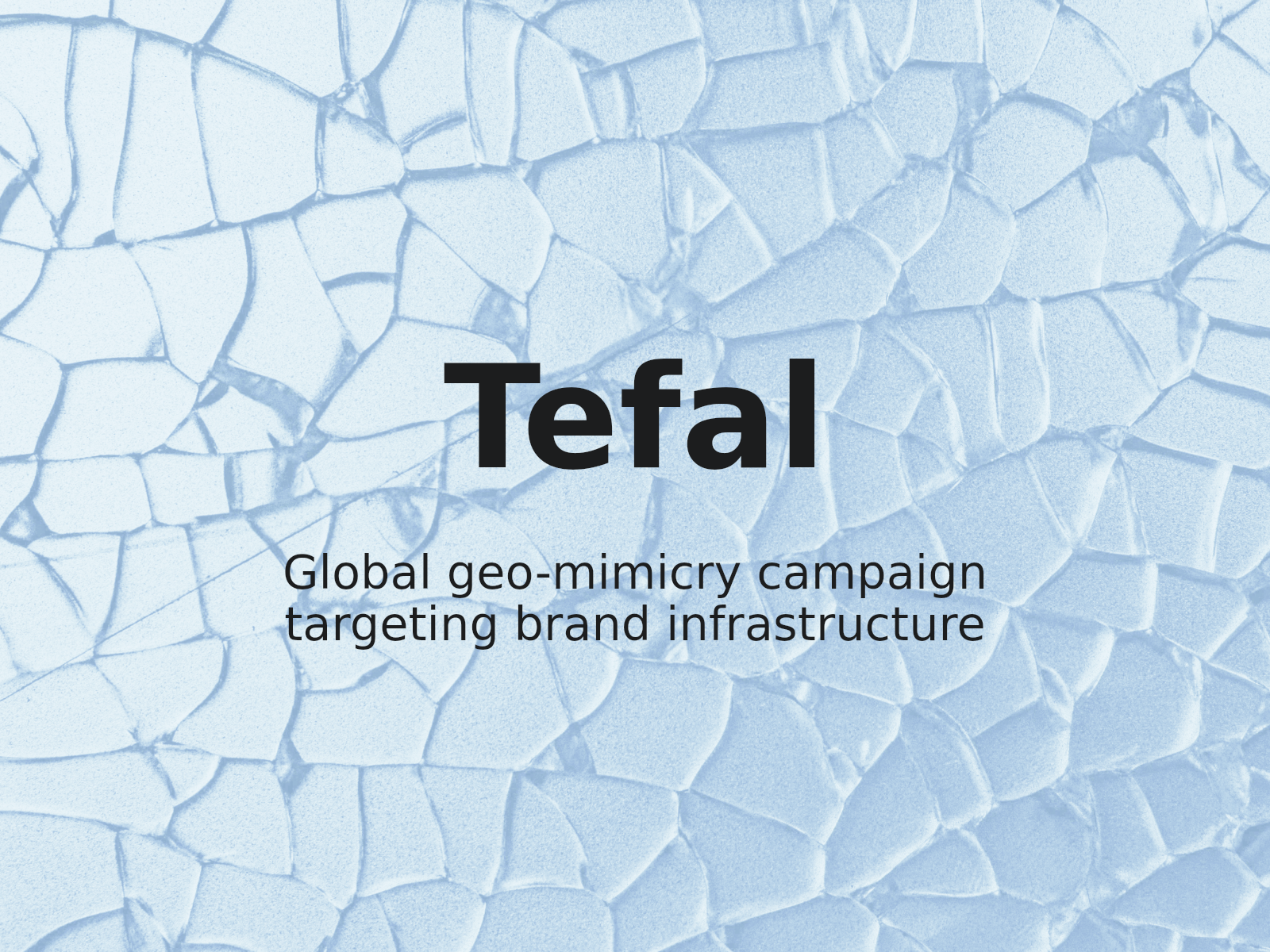 Global Cookware Brand TEFAL Reclaims 20 Domains Used in Geographic Mimicry Scheme