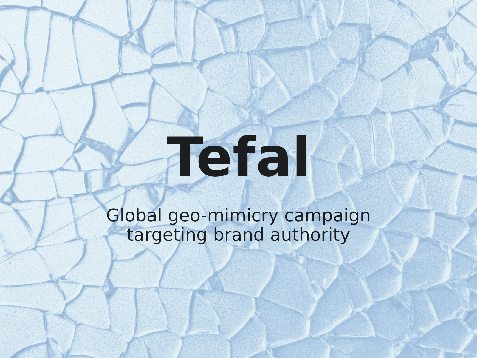 La marca global de utensilios de cocina TEFAL recupera 20 dominios utilizados en un esquema de mimetismo geográfico