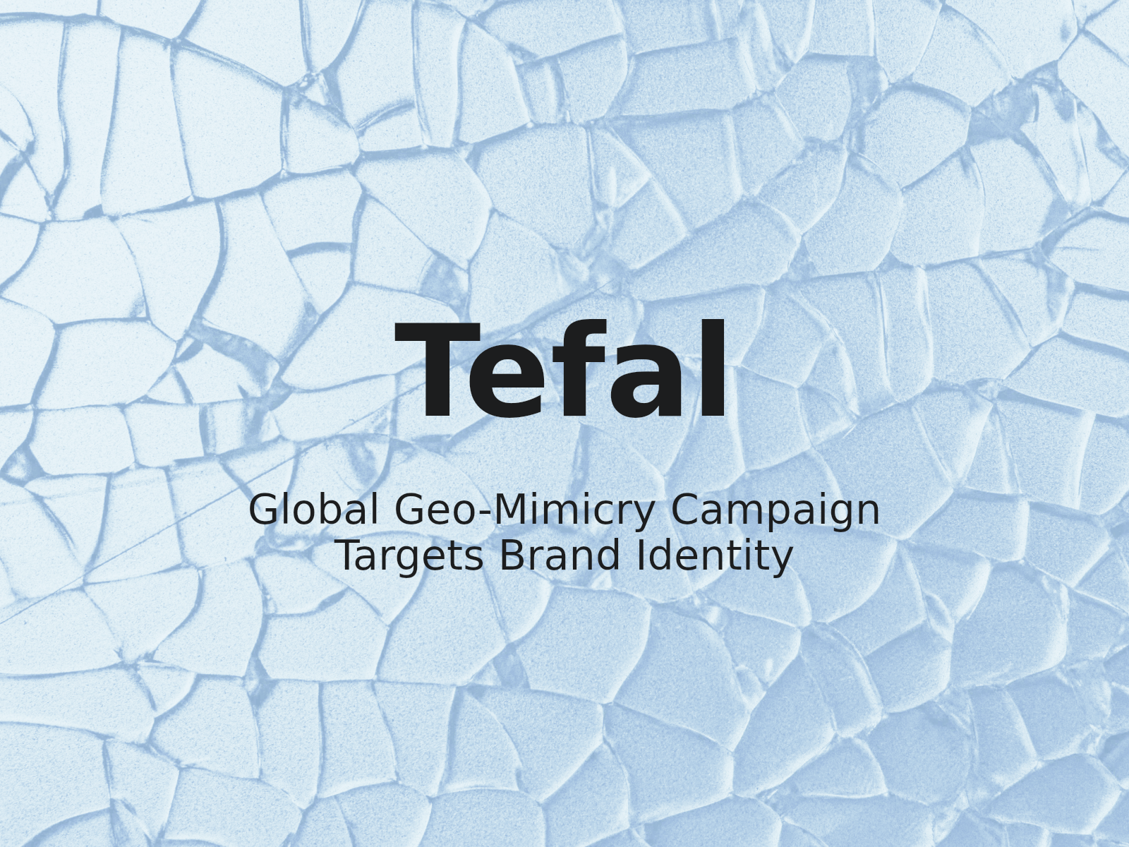 La marque mondiale d’ustensiles de cuisine TEFAL récupère 20 noms de domaine utilisés dans un stratagème d’usurpation géographique