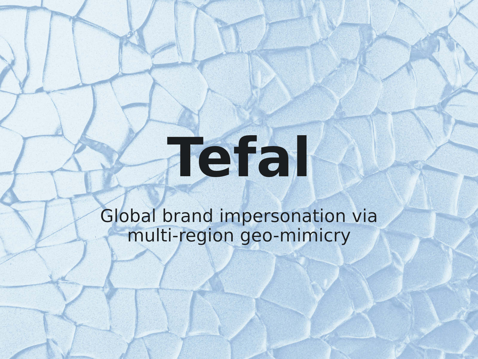 La marque mondiale d’ustensiles de cuisine TEFAL récupère 20 noms de domaine utilisés dans un stratagème d’usurpation géographique