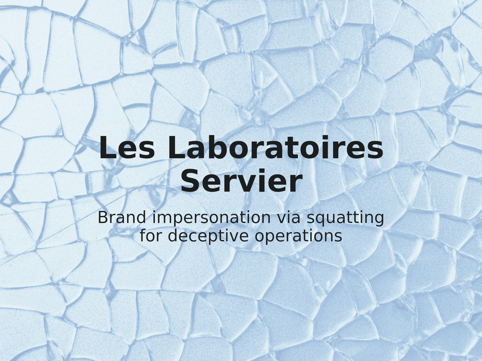 Défense contre la détention passive de domaines et l’imitation de marques
