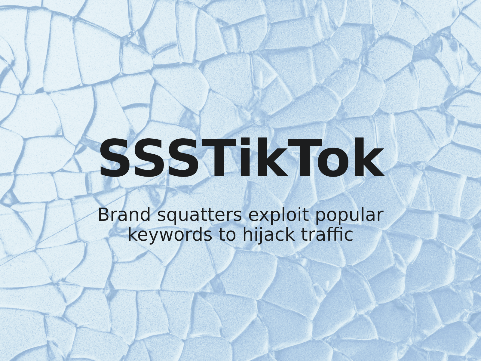 Addressing Brand Impersonation and Third-Party Trademark Conflicts in Domain Disputes