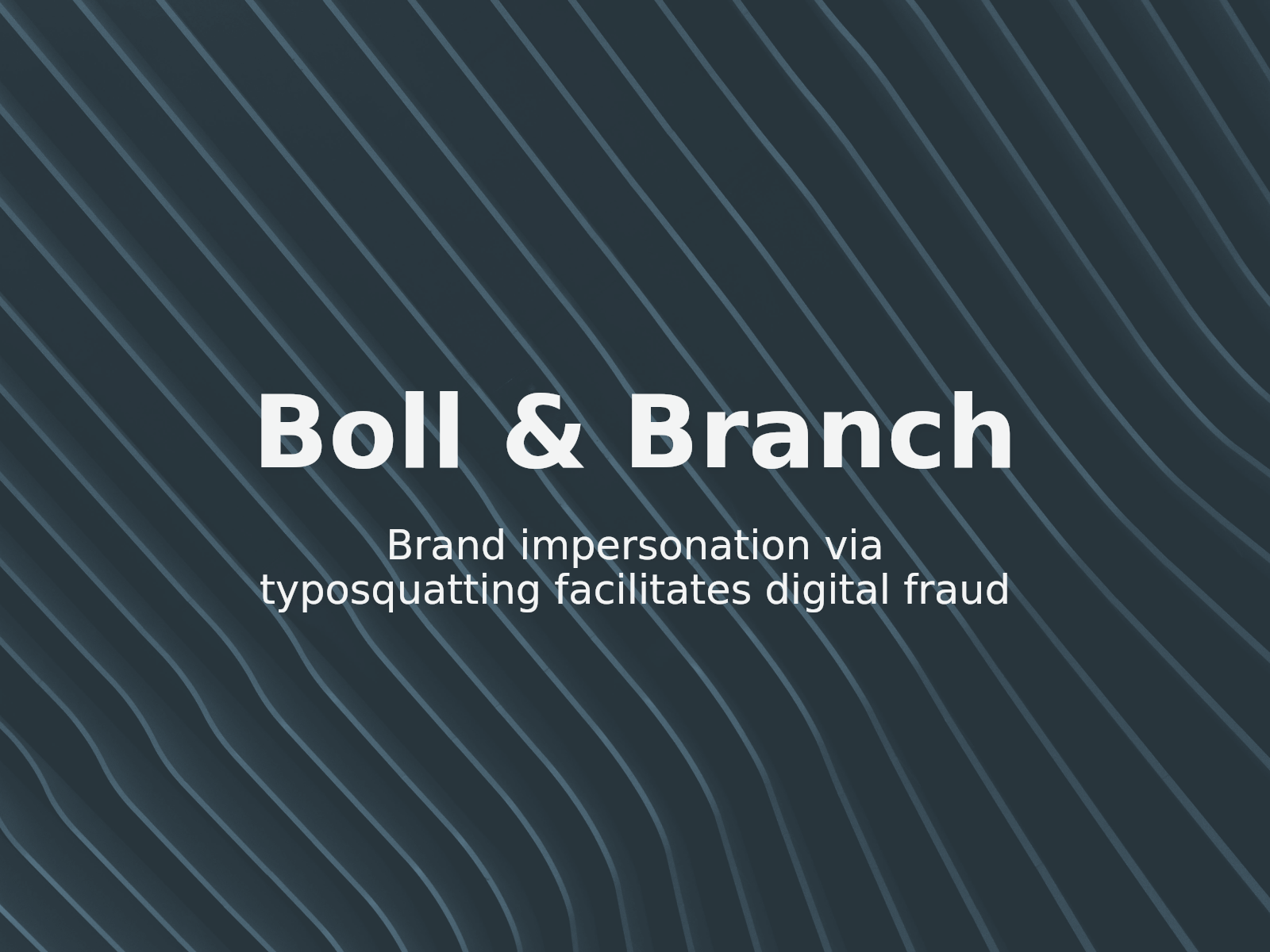 Addressing Typosquatting Threats: Lessons from the Boll & Branch Case