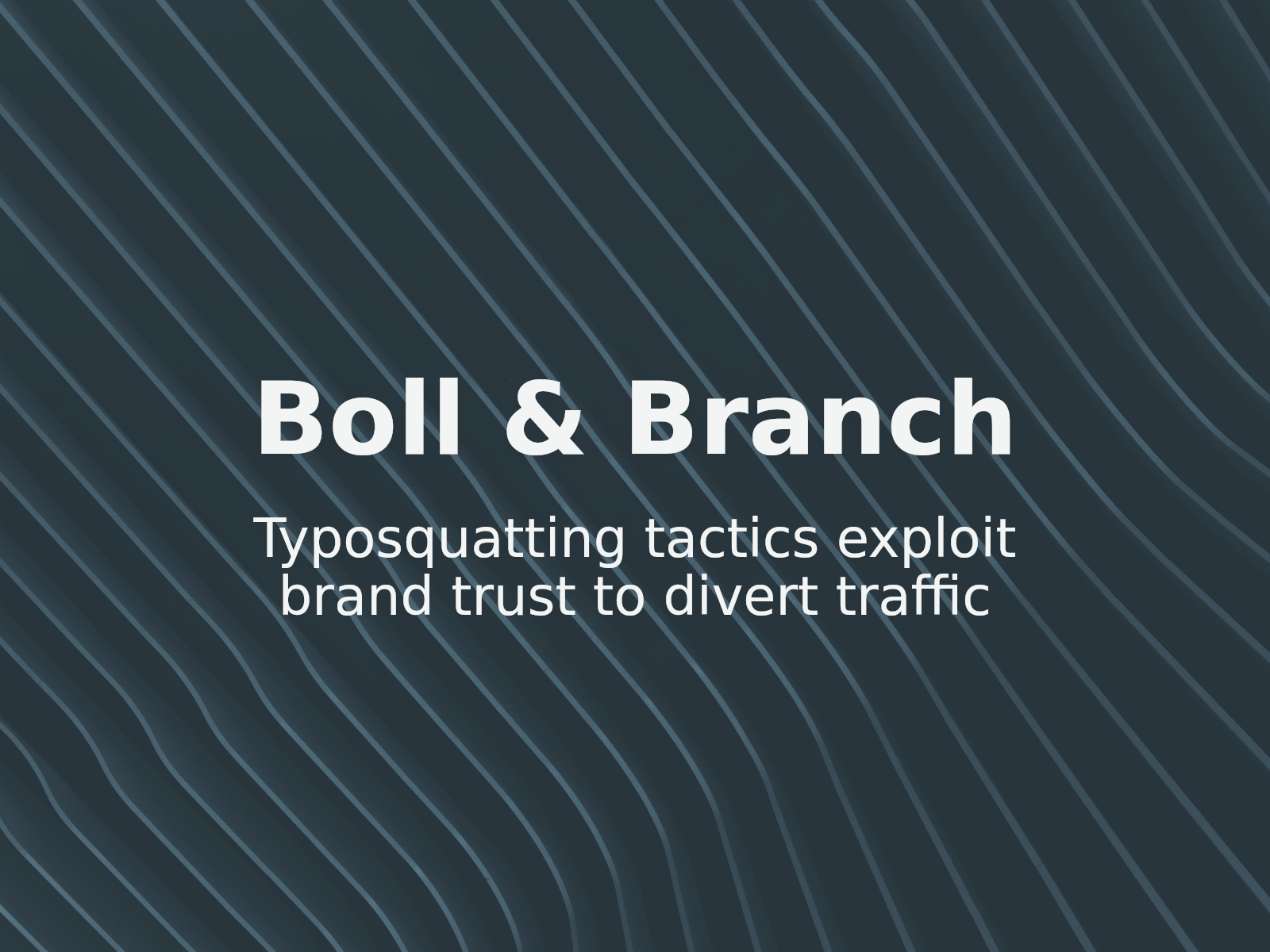Abordando las amenazas de typosquatting: Lecciones del caso Boll & Branch