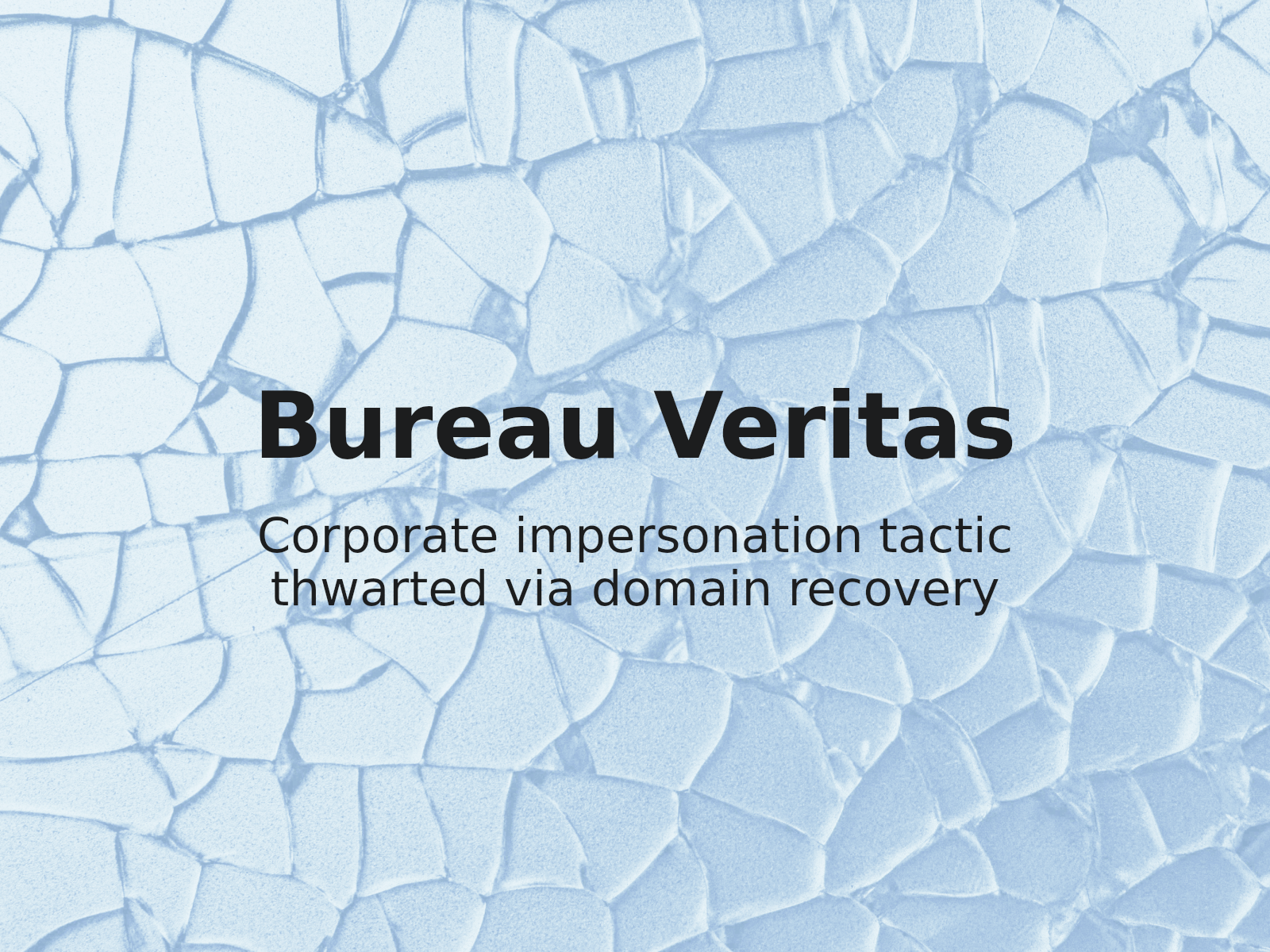 Bureau Veritas wins legal battle to secure ownership of mat-dan.com