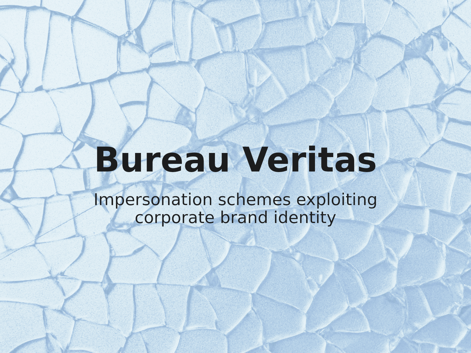 Protection de l’identité de marque contre l’usurpation d’identité d’entreprise : Bureau Veritas c. mat-dan.com