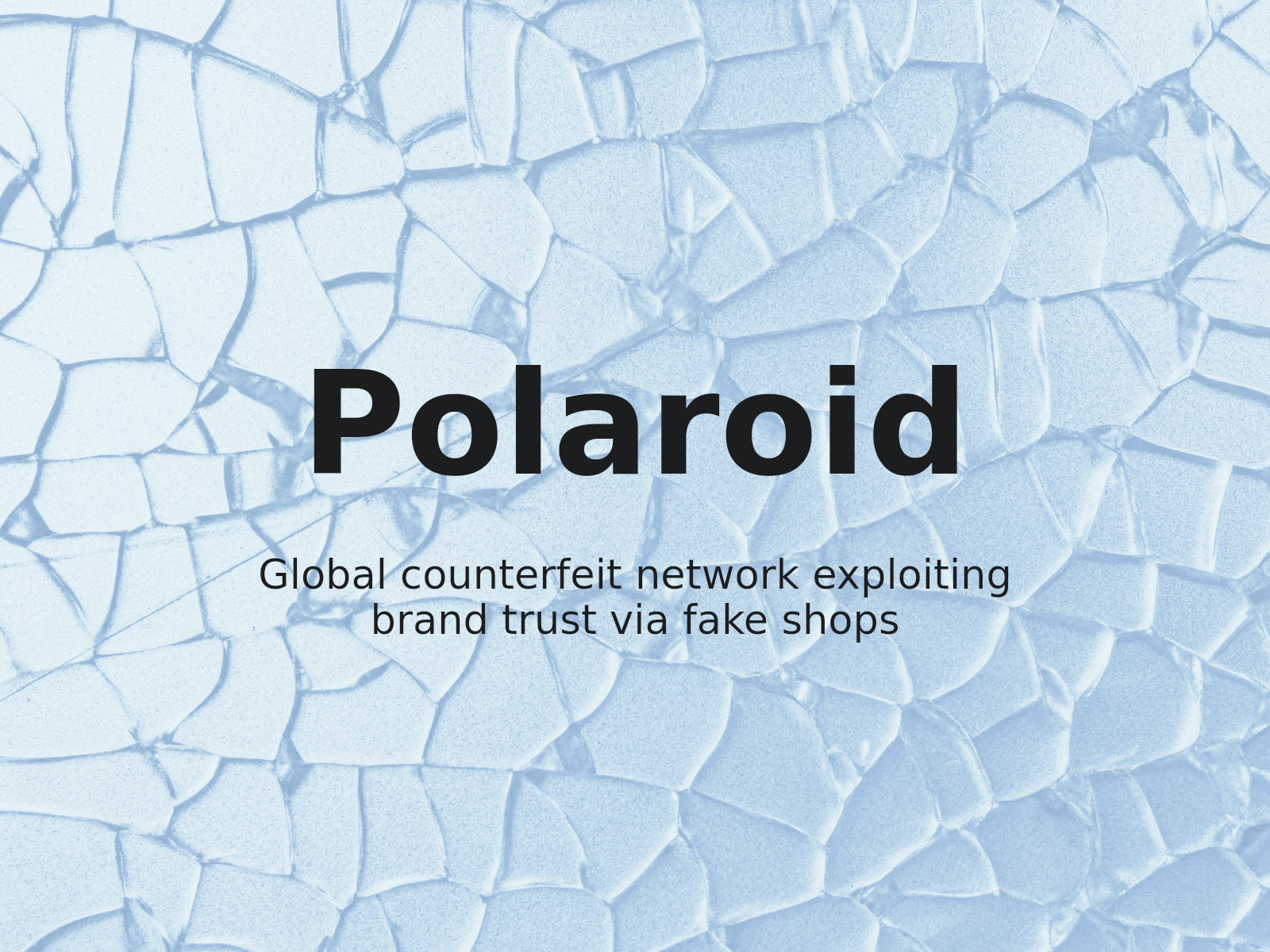 Abordando la suplantación geográfica y las tiendas falsas: revisión de la disputa de dominio de Polaroid
