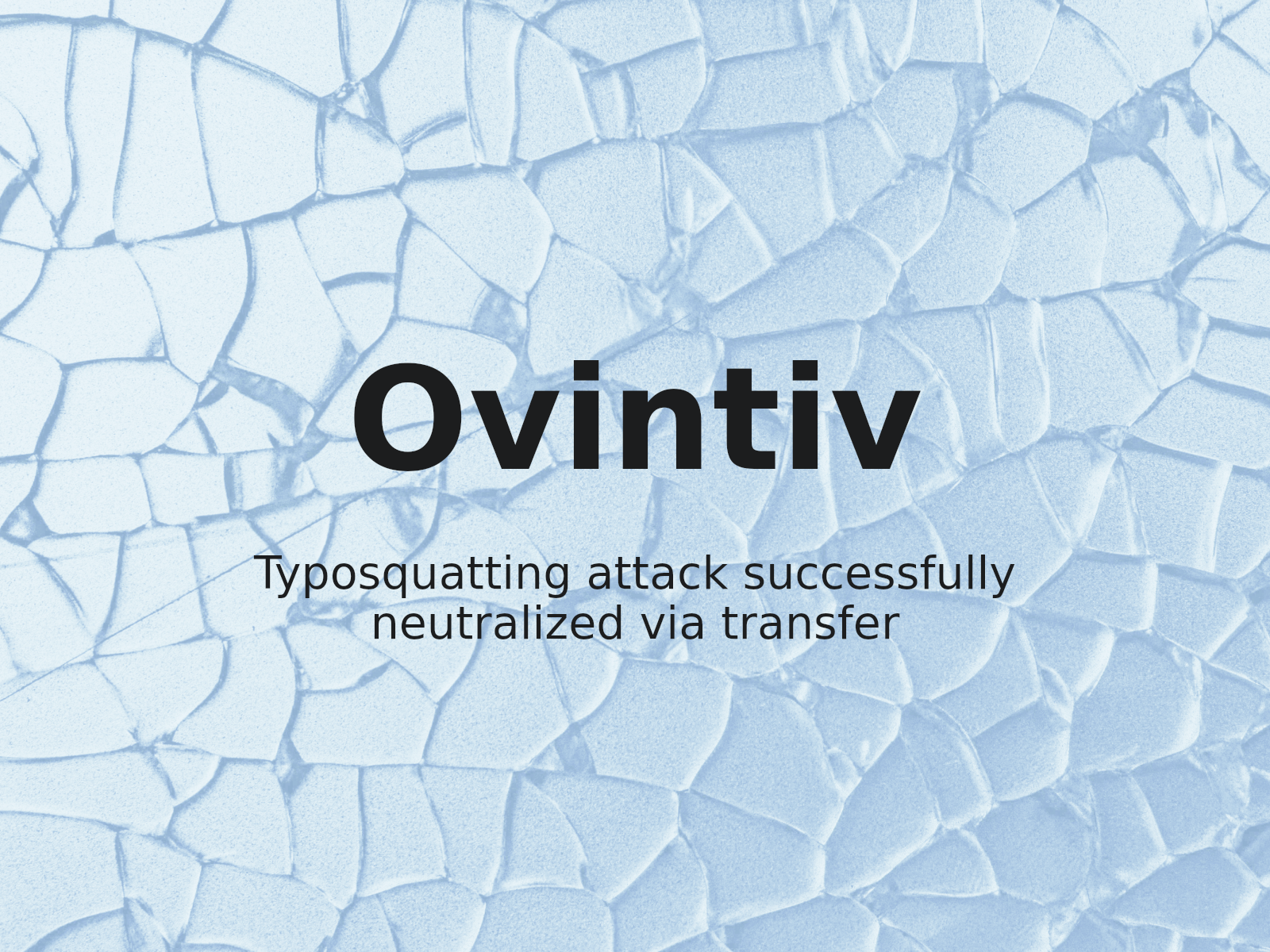 Securing Brand Assets Against Typosquatting: Ovintiv Case Analysis