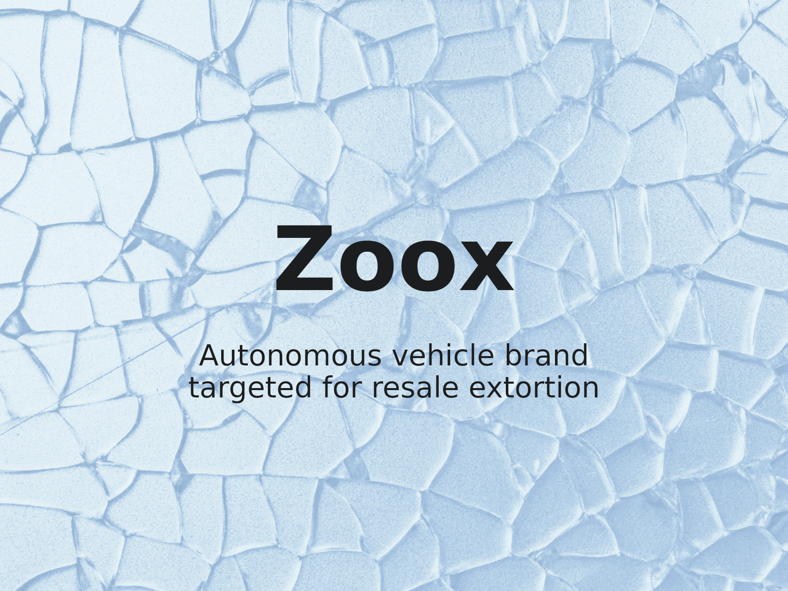 Trademark Infringement and Domain Resale Risks in Zoox, Inc. v. Privacy Protection