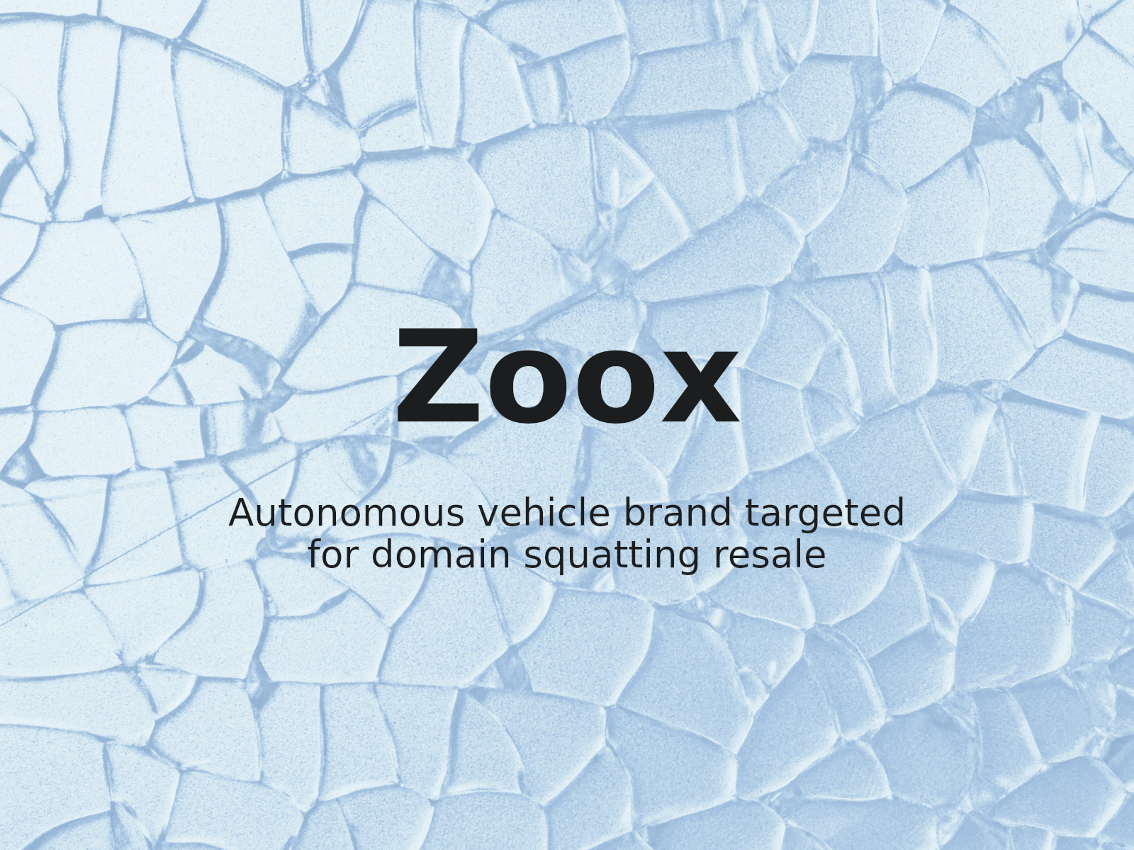 Infracción de marca registrada y riesgos de reventa de dominios en Zoox, Inc. v. Privacy Protection