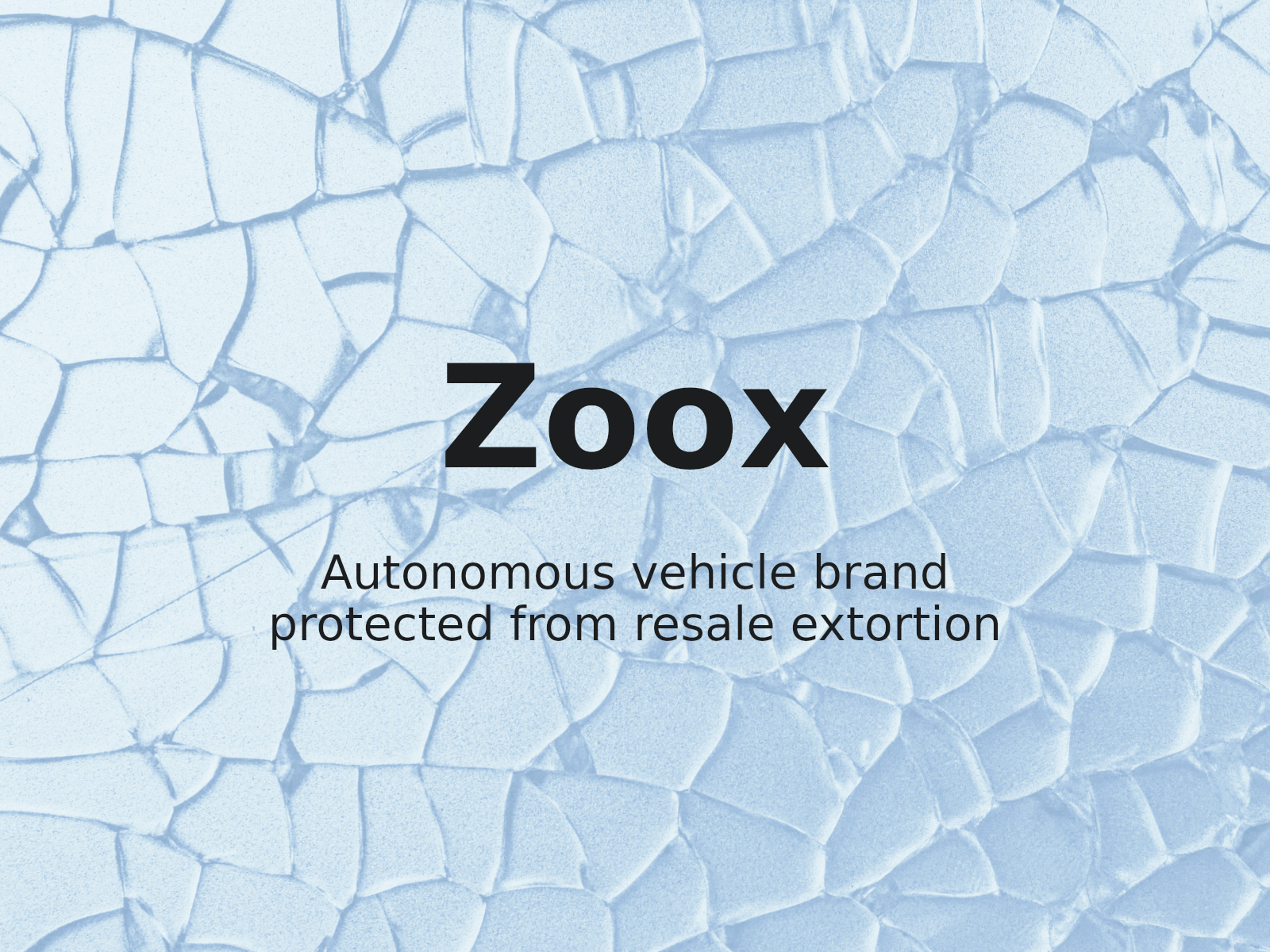 Violation de marque et risques de revente de noms de domaine dans l’affaire Zoox, Inc. c. Privacy Protection