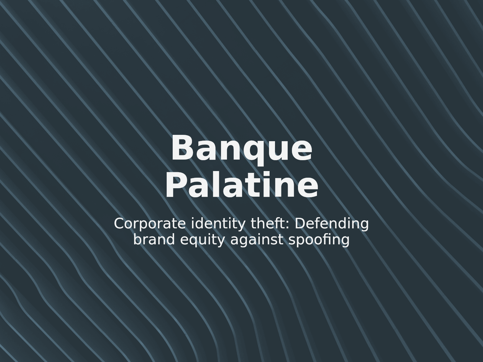 Markenrechtsverletzung und Risiken durch Unternehmens-Impersonation bei palatinegrp.com
