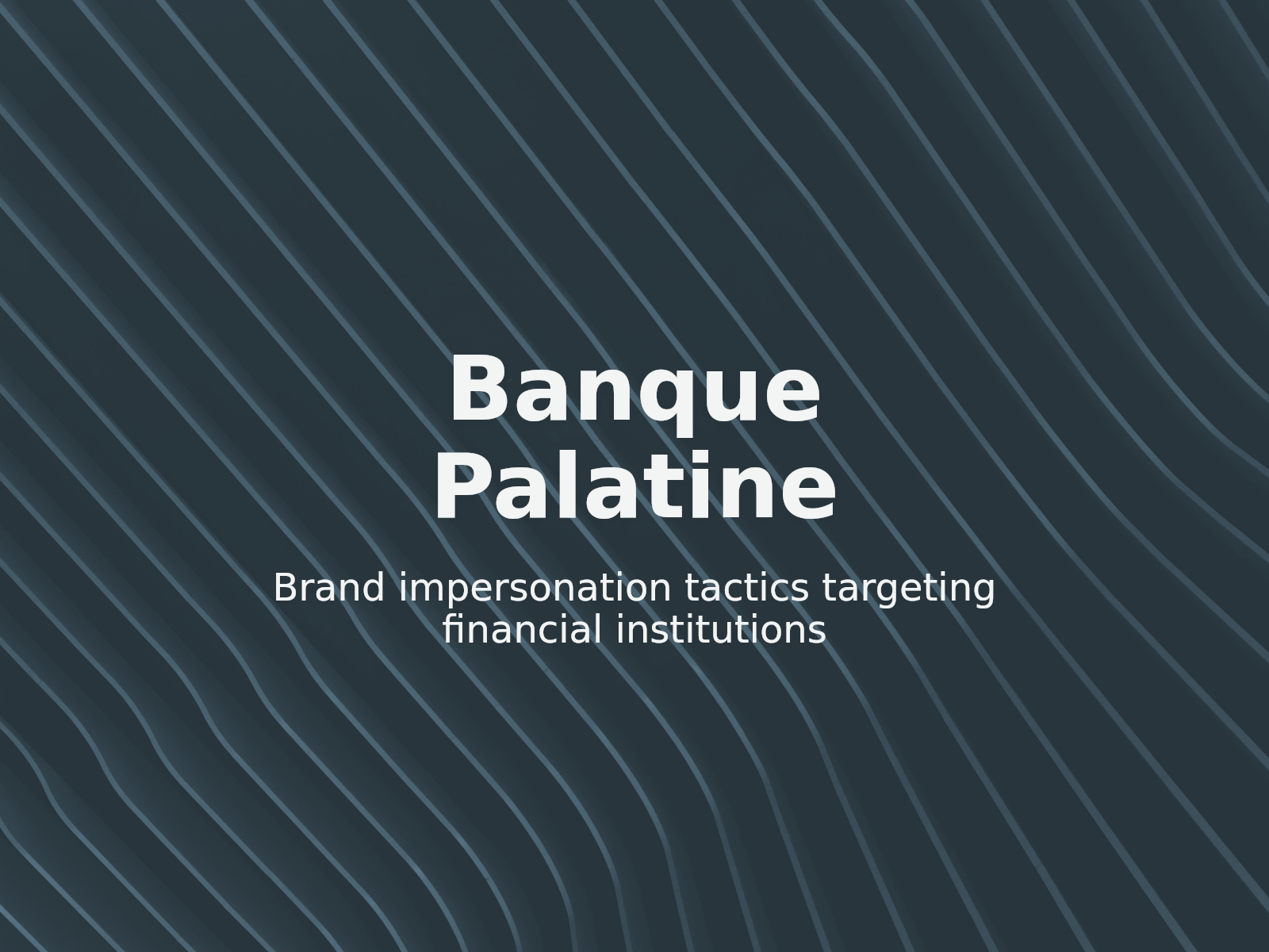 Trademark Infringement and Corporate Impersonation Risks at palatinegrp.com