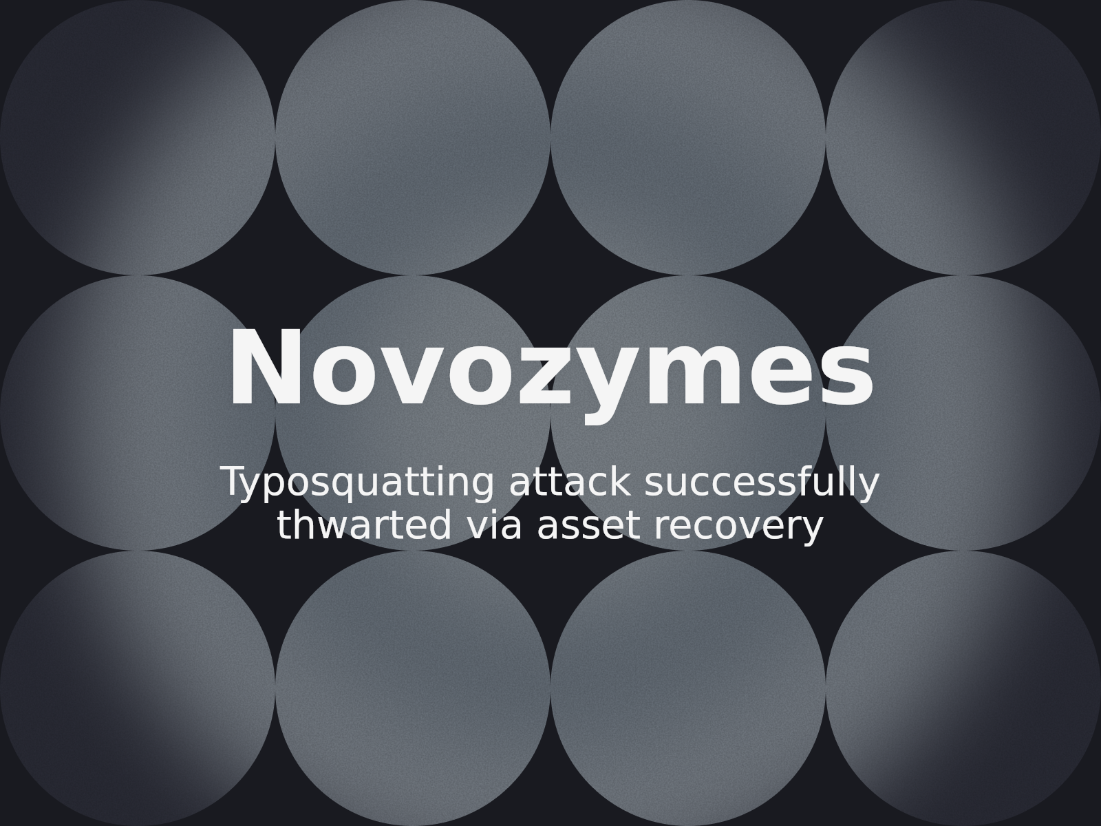 Protecting the Novonesis Brand Against Visual Typosquatting