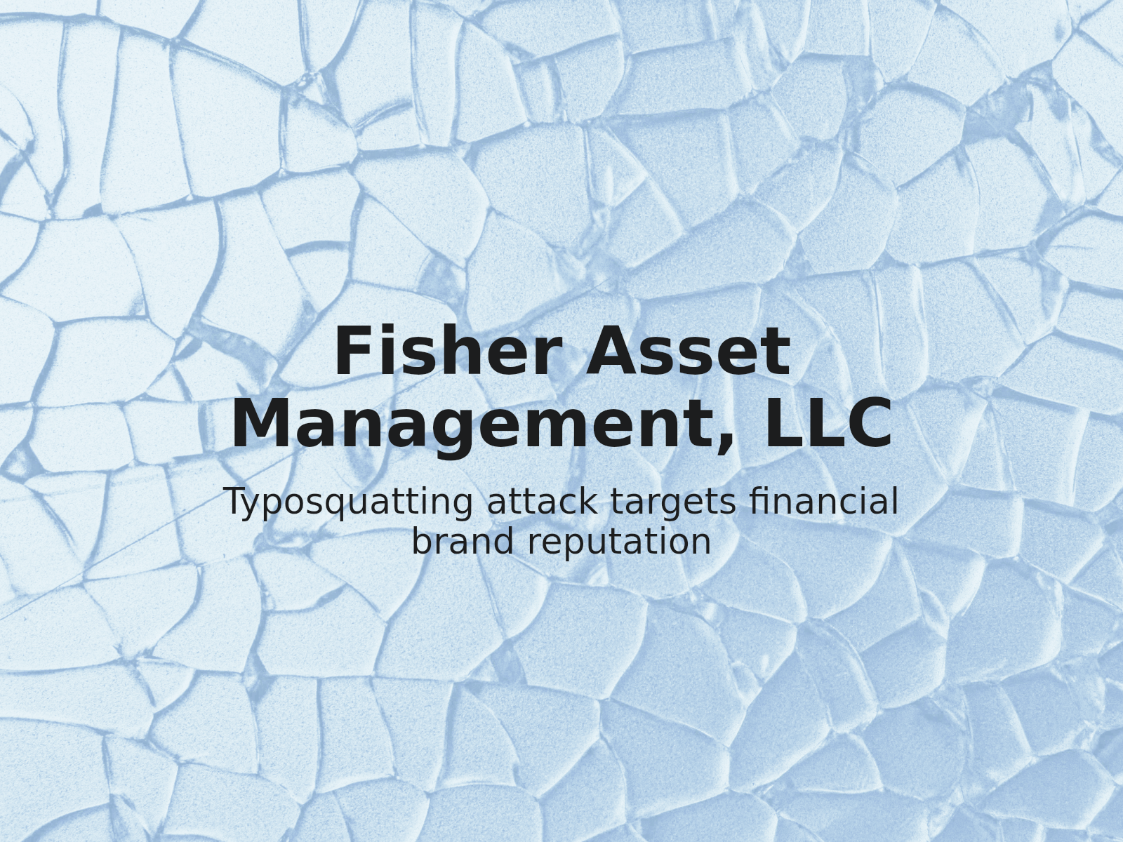 Addressing Typosquatting and Geographic Domain Mimicry: Lessons from Fisher Asset Management