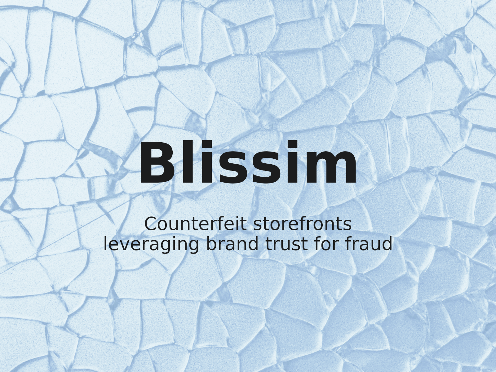 Schutz von BLISSIM: Vorgehen gegen Domain-Impersonation durch Fake-Shops