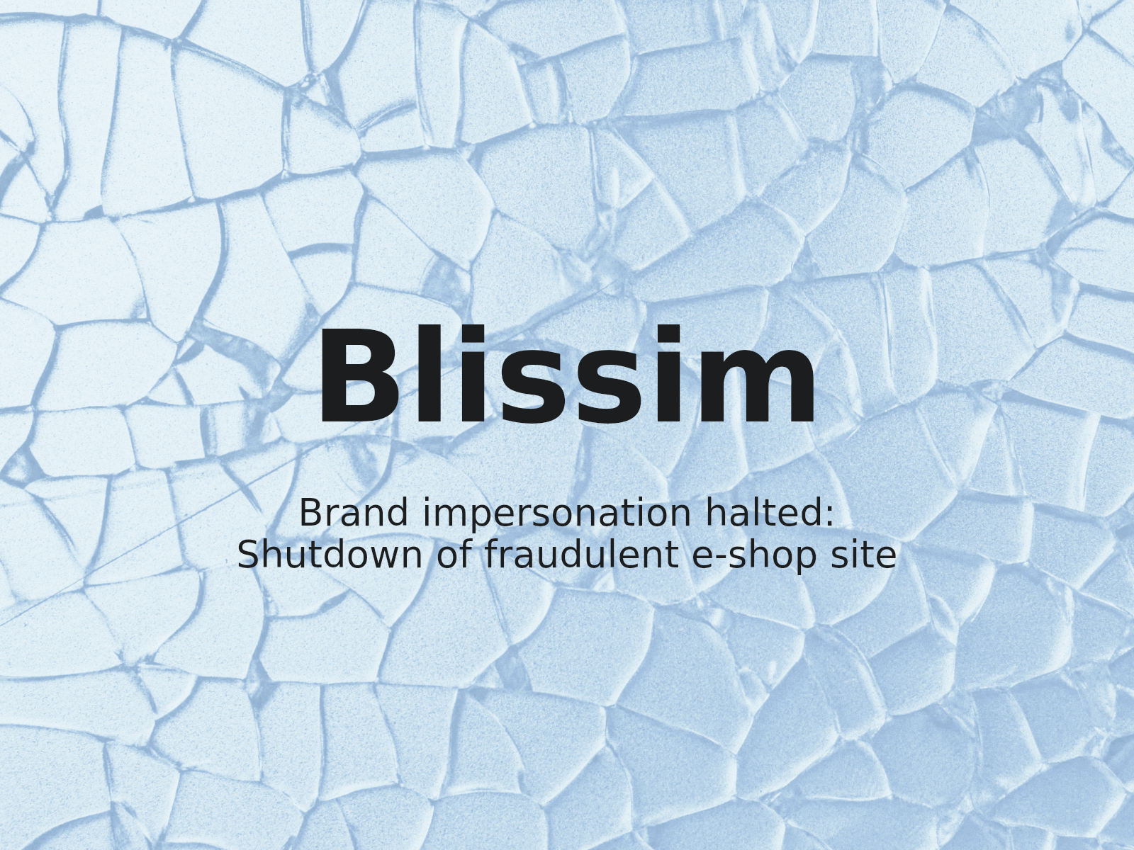 Protecting BLISSIM: Addressing Fake Shop Domain Impersonation