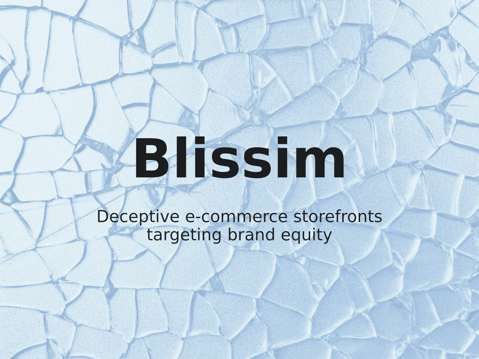 Protección de BLISSIM: Cómo abordar la suplantación mediante tiendas falsas en dominios