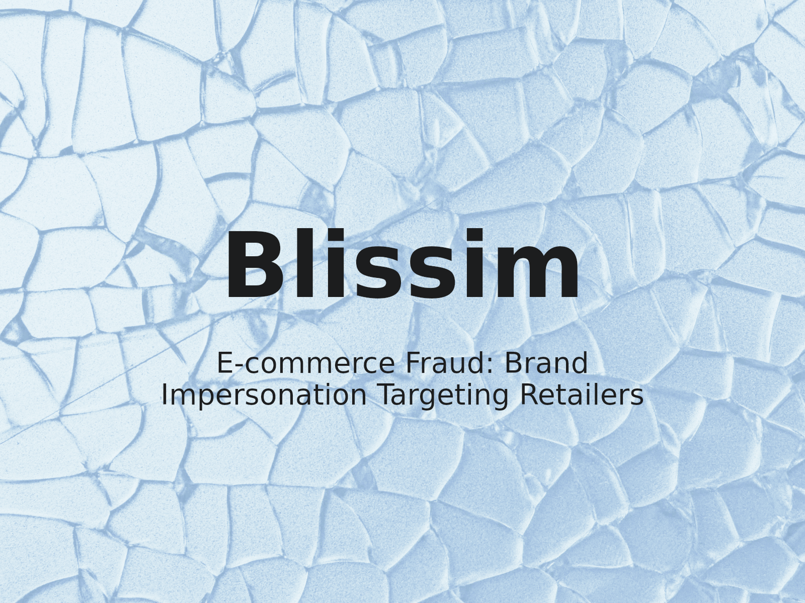 Protéger BLISSIM : Lutter contre l’usurpation de noms de domaine par de fausses boutiques