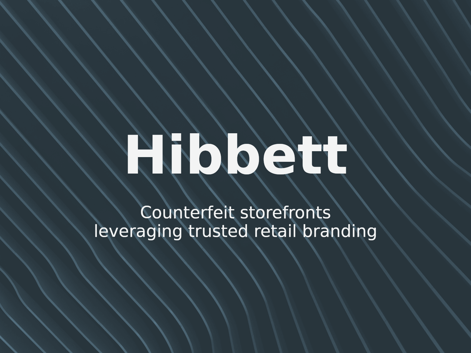 Bekämpfung gefälschter Online-Shops: Lehren aus HIBBETT HOLDINGS v. davish