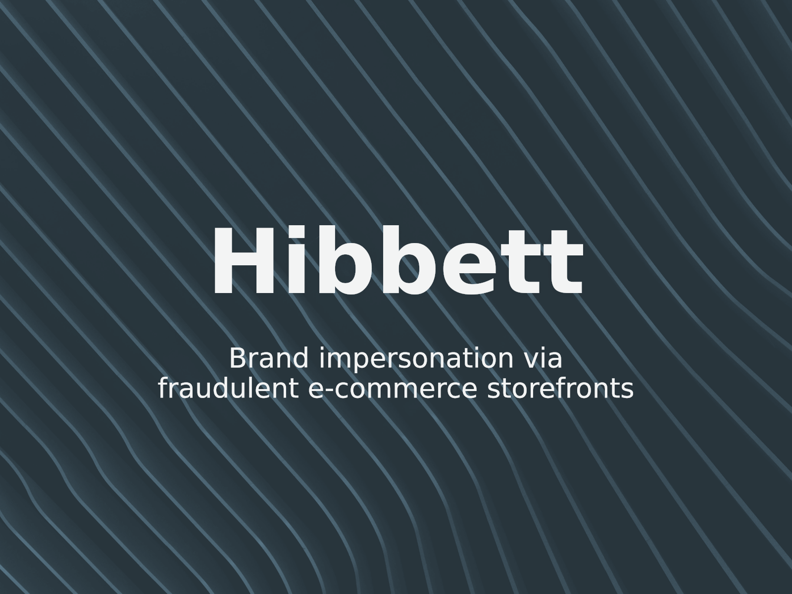 Combating Fake Storefronts: Lessons from HIBBETT HOLDINGS v. davish
