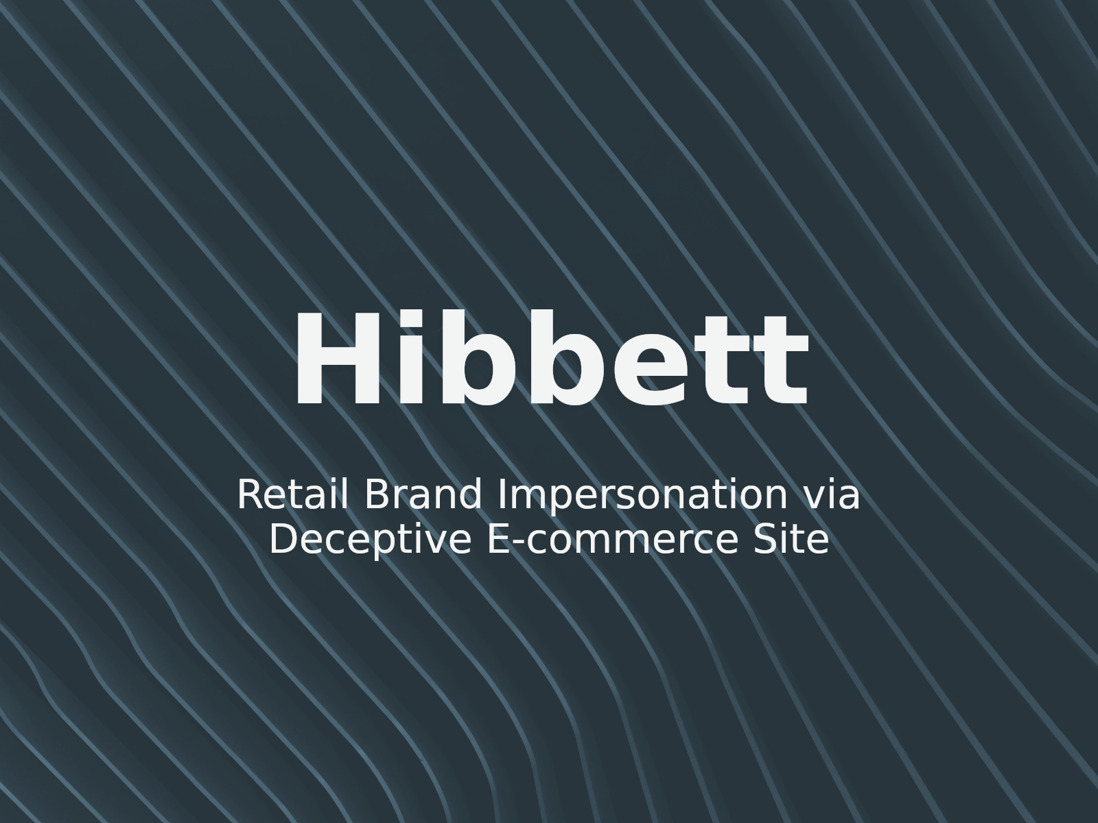 Combatiendo escaparates falsos: lecciones del caso HIBBETT HOLDINGS v. davish