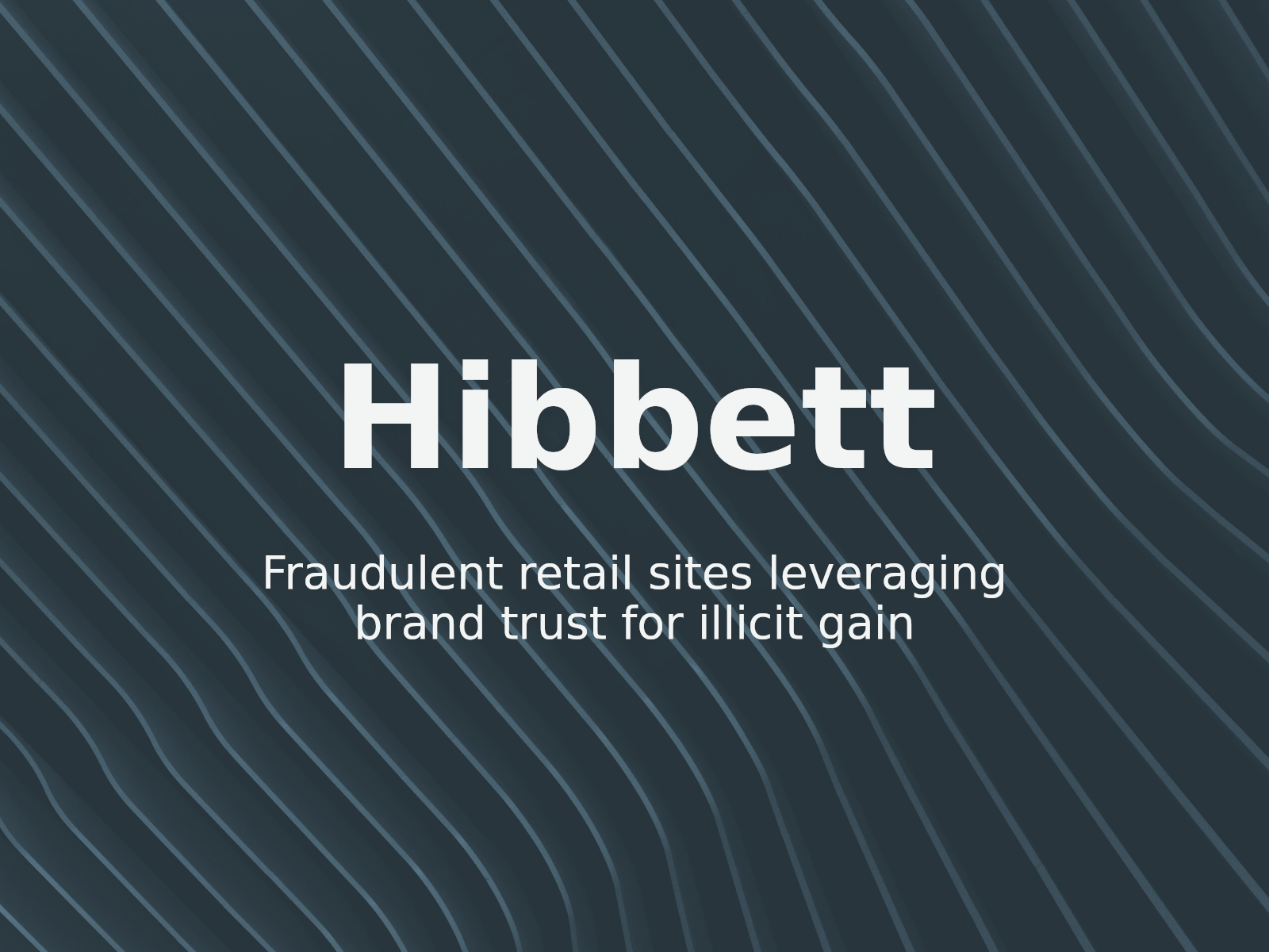Combattre les fausses boutiques en ligne : leçons de l’affaire HIBBETT HOLDINGS c. davish
