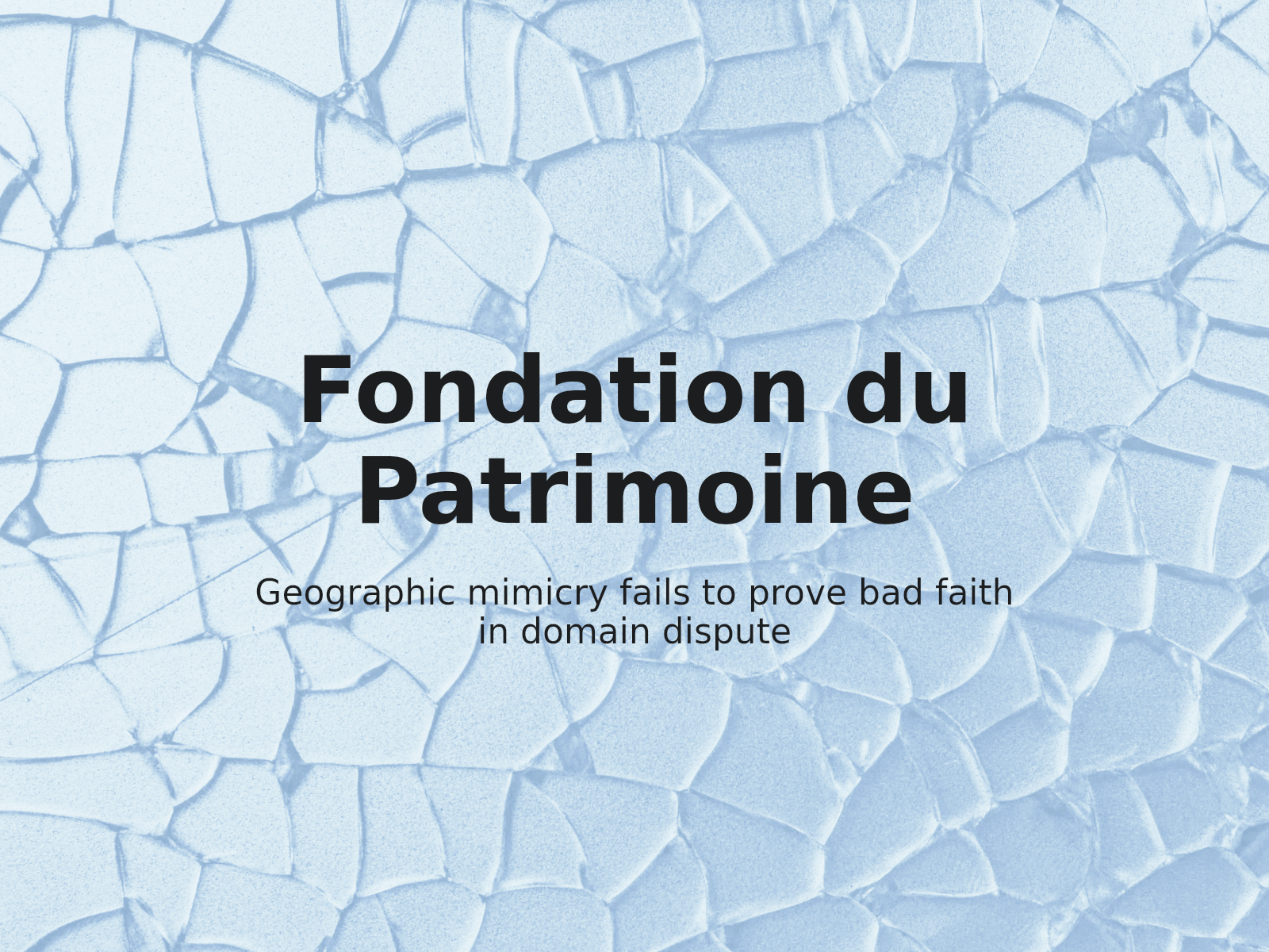 Navigating Trademark Disputes with Localized Entities: Lessons from FONDATION DU PATRIMOINE
