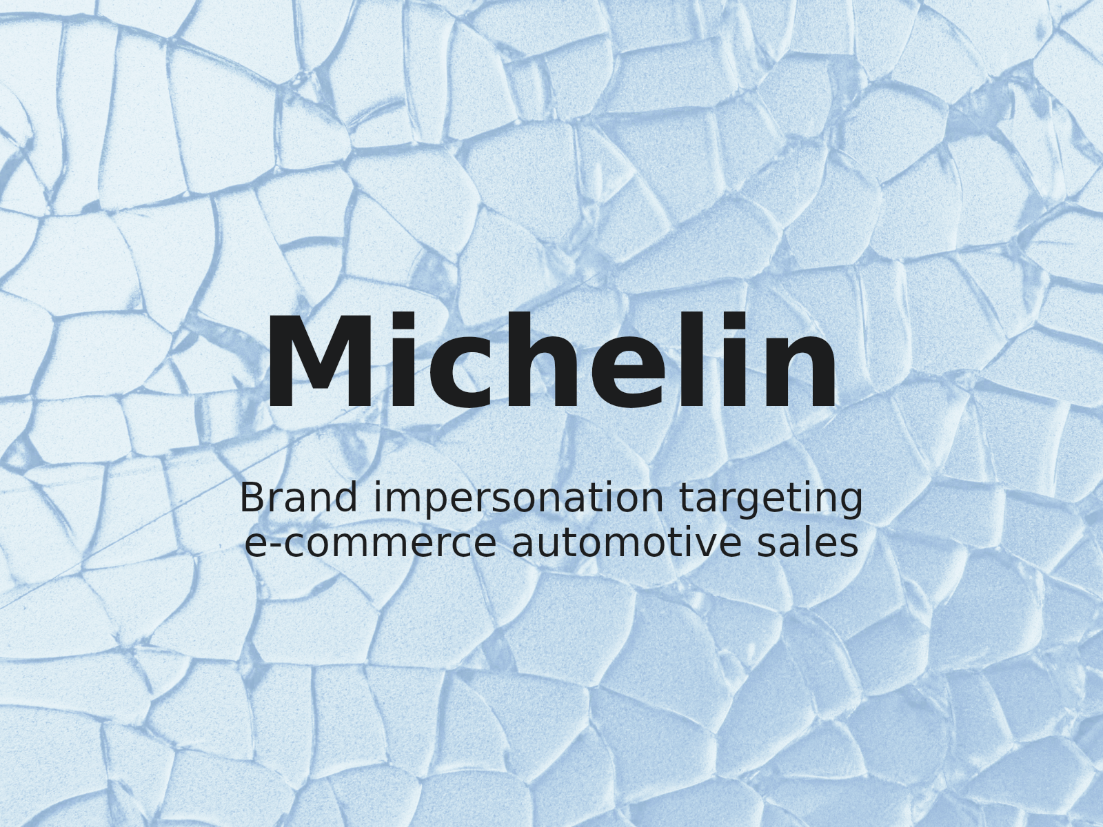 Enforcement Lessons: Addressing Unauthorized BFGoodrich E-commerce Sites