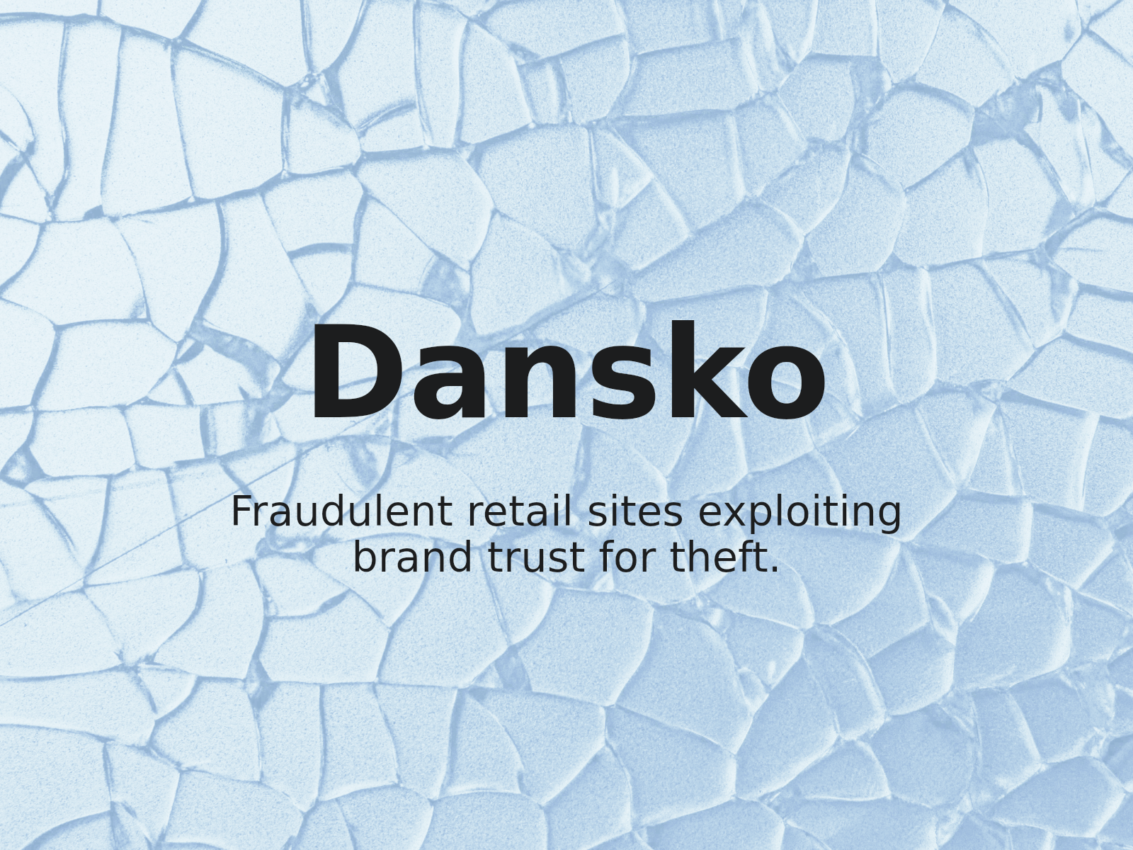Bekämpfung unbefugter Webshops: Lektionen aus Dansko, LLC v. yangjian